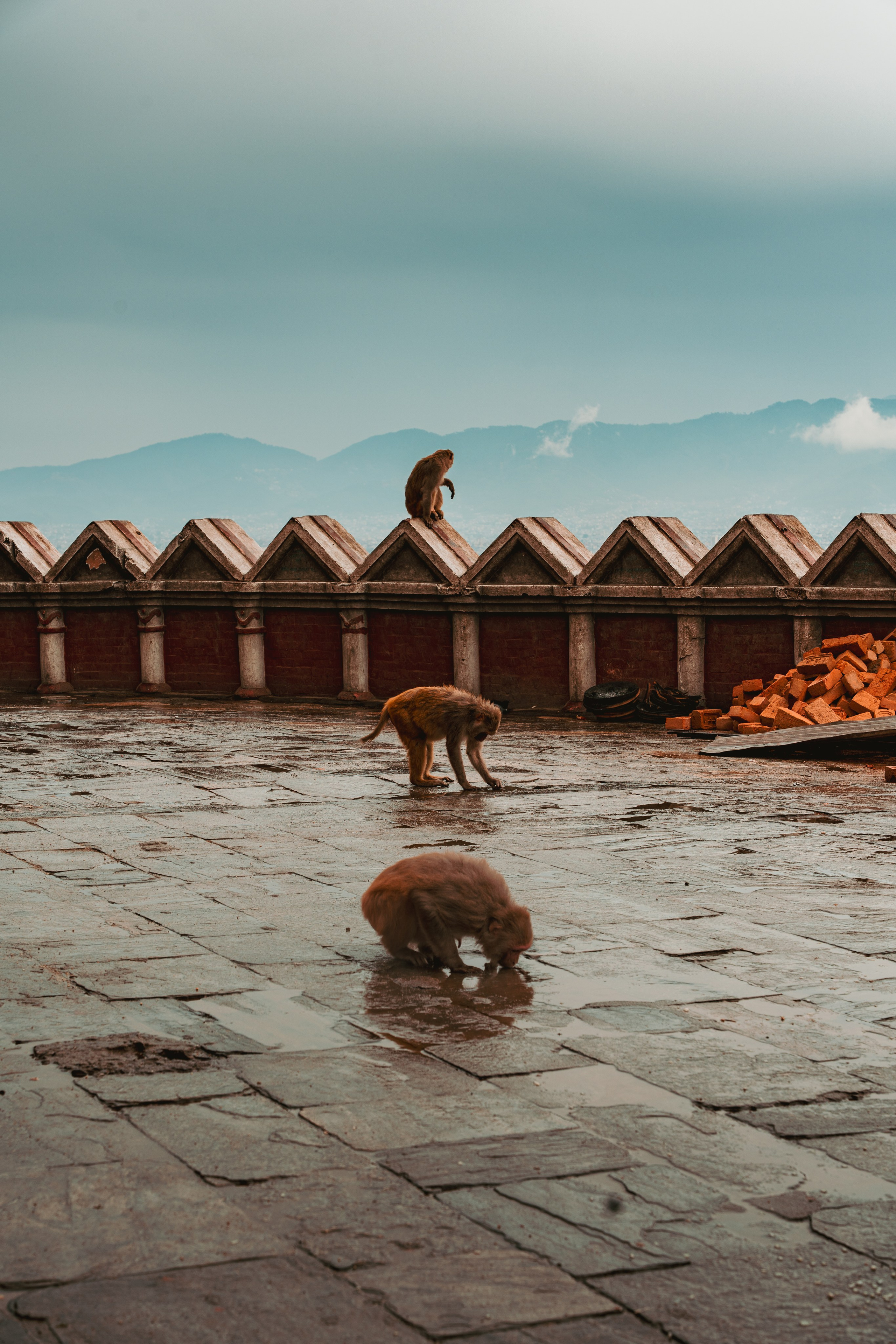Nepal. Dmitry Ippolitov