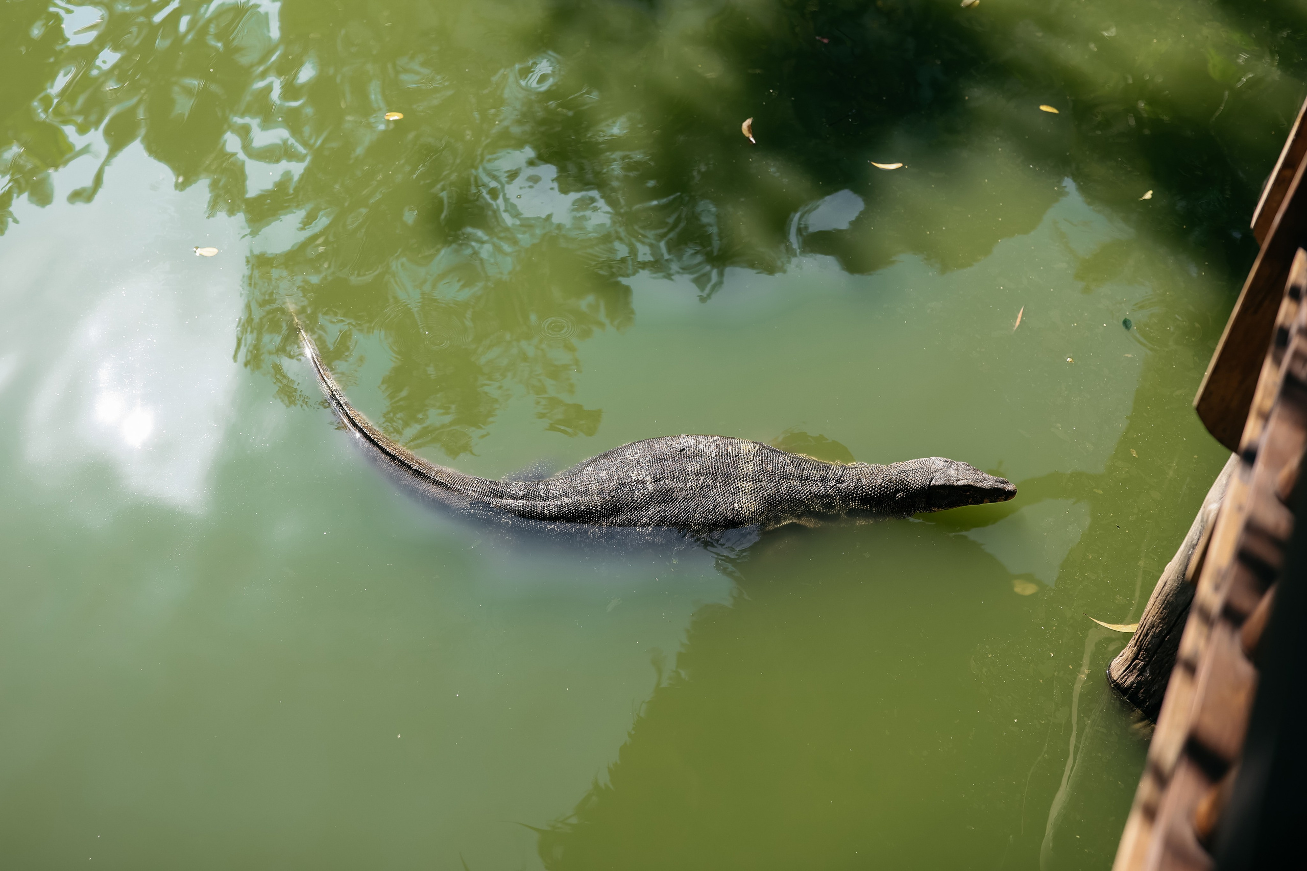 Thailand / Ban Sainai Resort. Ekaterina Buneeva Photography