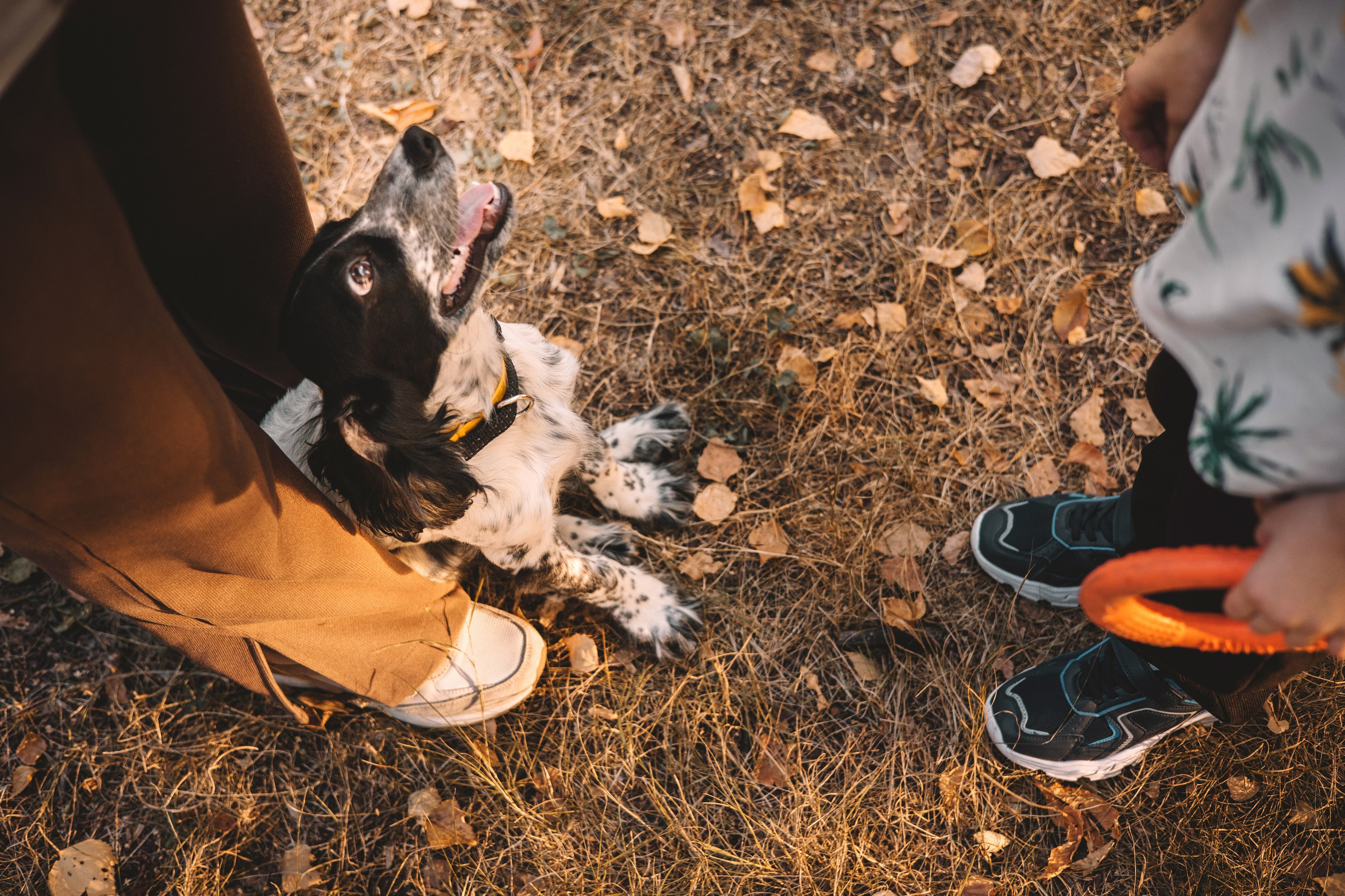 Рони, Вова и Светлана