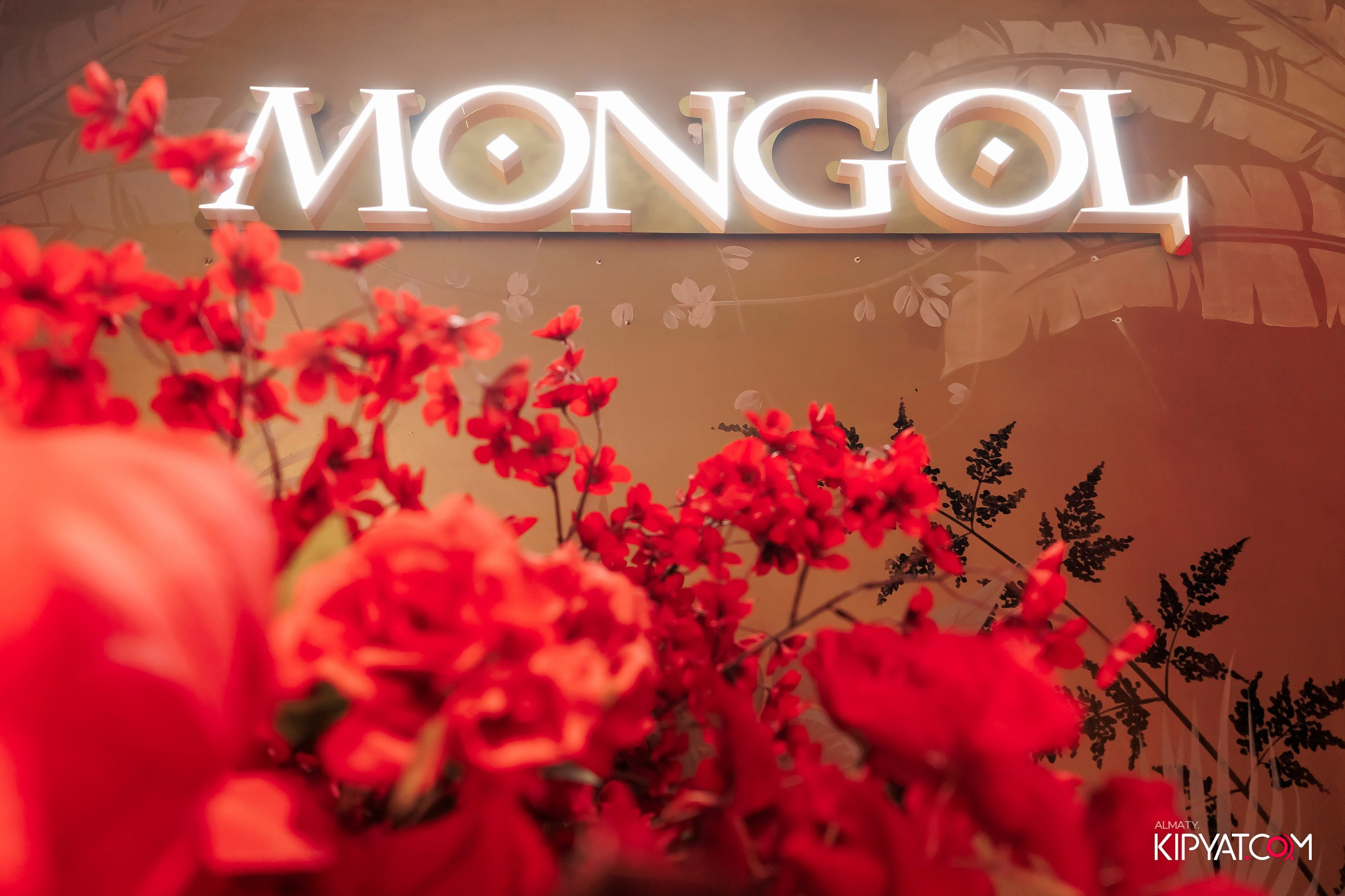 MONGOL BAR MIRAS. КИПЯТКОМ АЛМАТЫ! Фотосъемка мероприятий в Алматы