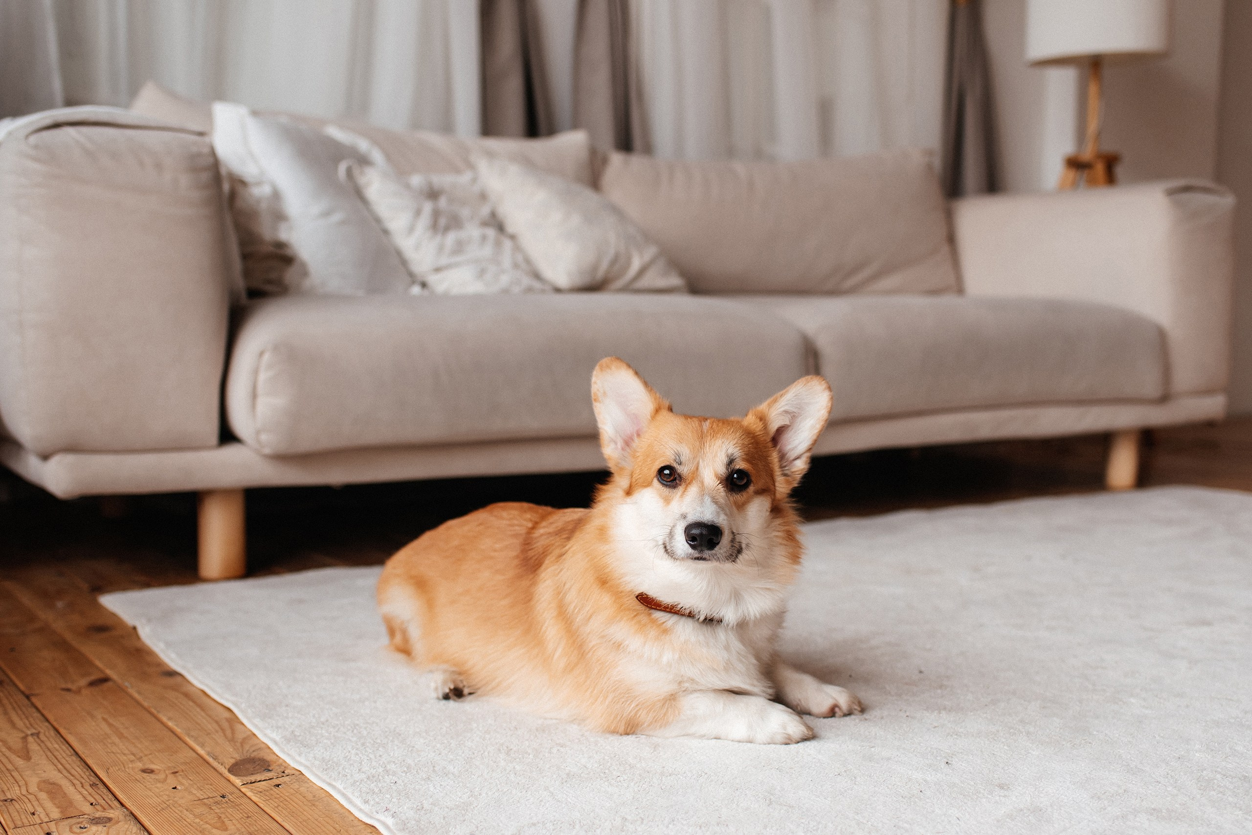 Елена и Шурочка. Семейный и Свадебный фотограф. Санкт-Петербург. Пушкин