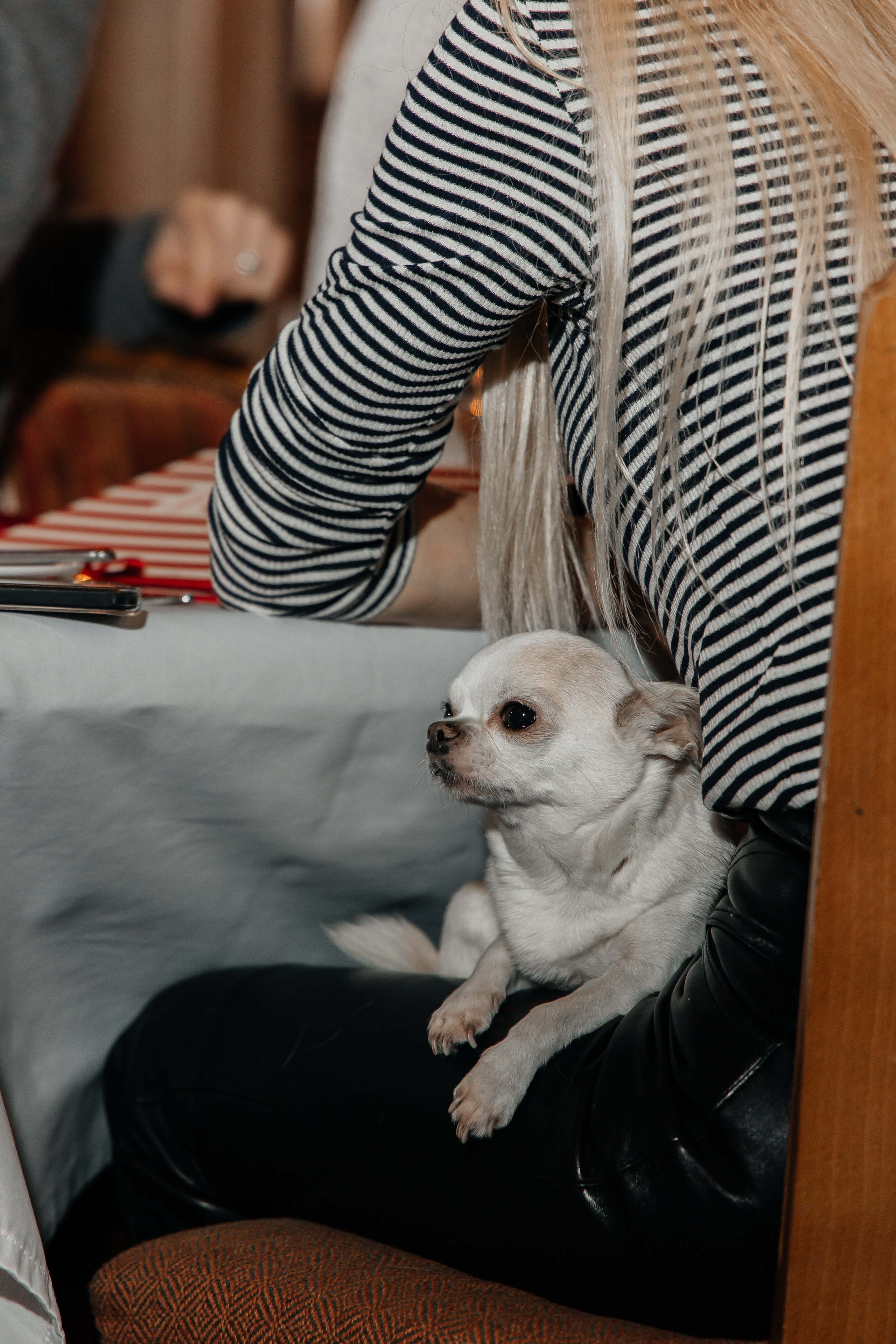 Праздник «Божоле» Michel. Фотограф Москва Людмила Белова