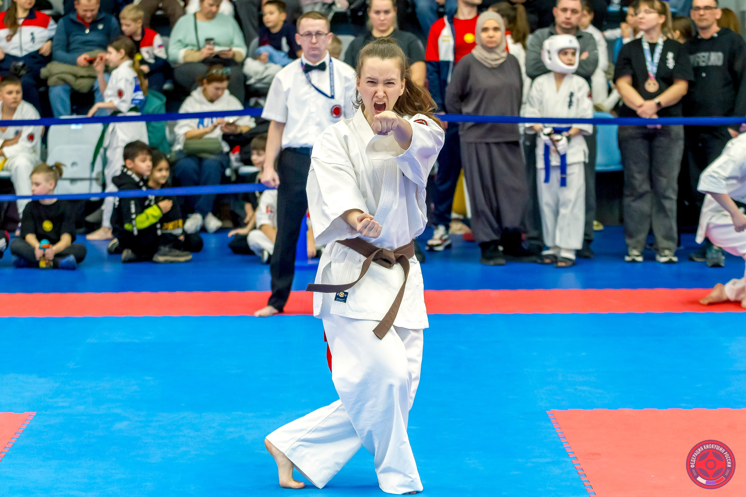 Международный турнир по киокушин «Открытый кубок Seiken». Репортажная съемка в Москве и области. Анималистика