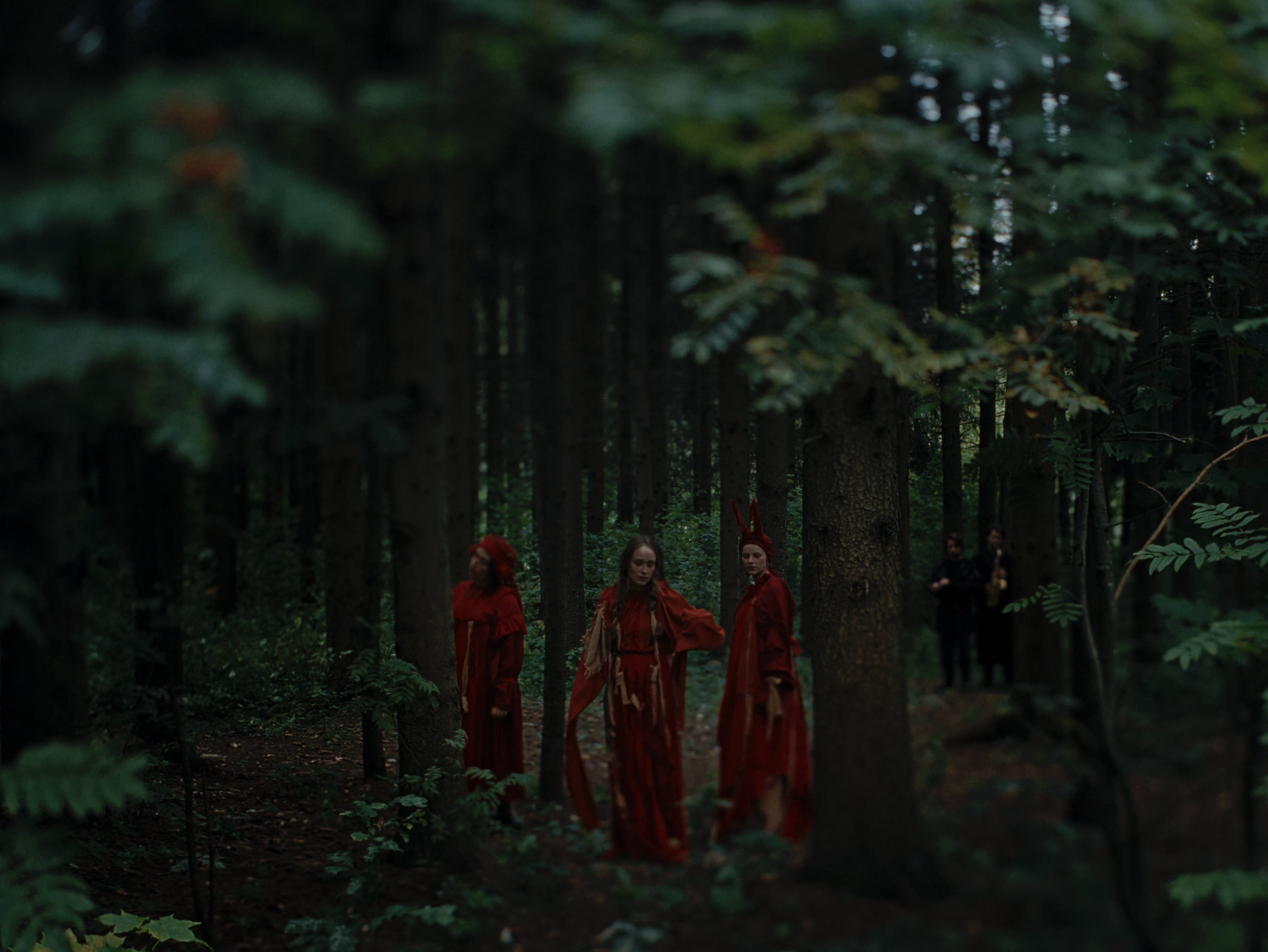 2025 Комонь х INDEX III. Дарья Каширина