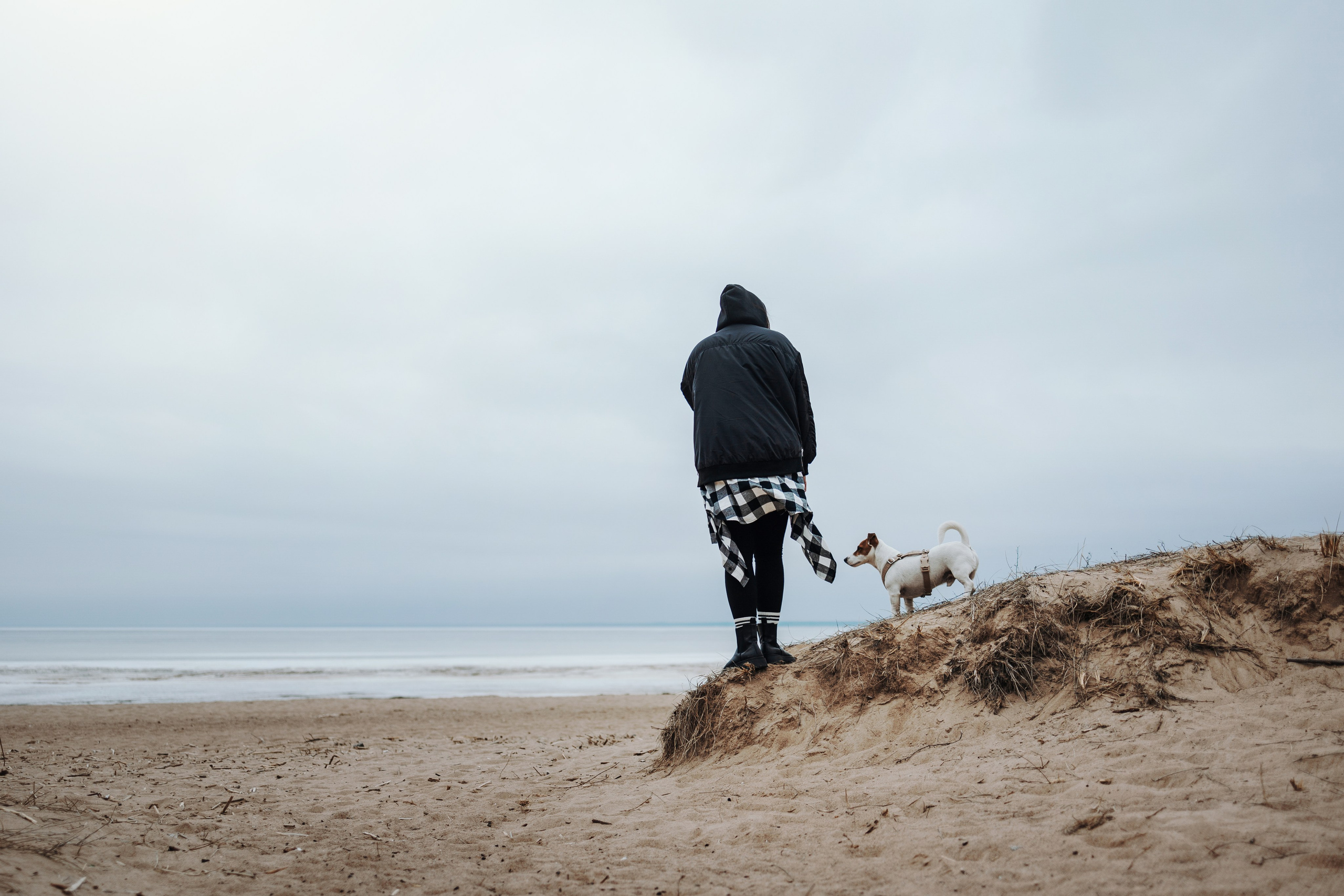 Саша и Джеки. Фотограф — Анималист | Санкт-Петербург