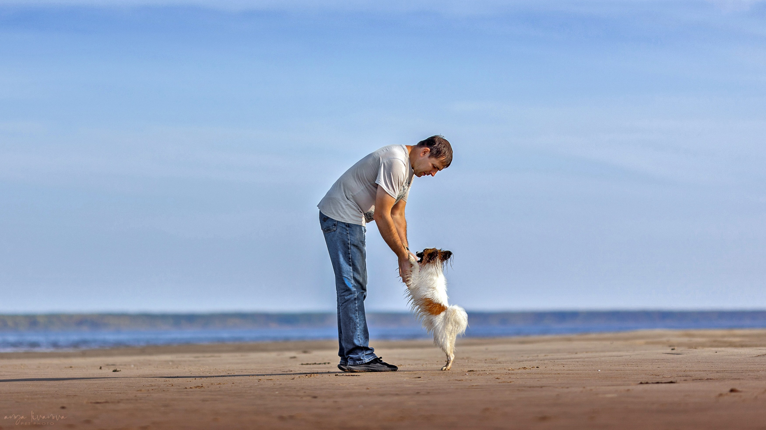 Хьюстон. Фотограф анималист Аня Ливанова | Рыбинск
