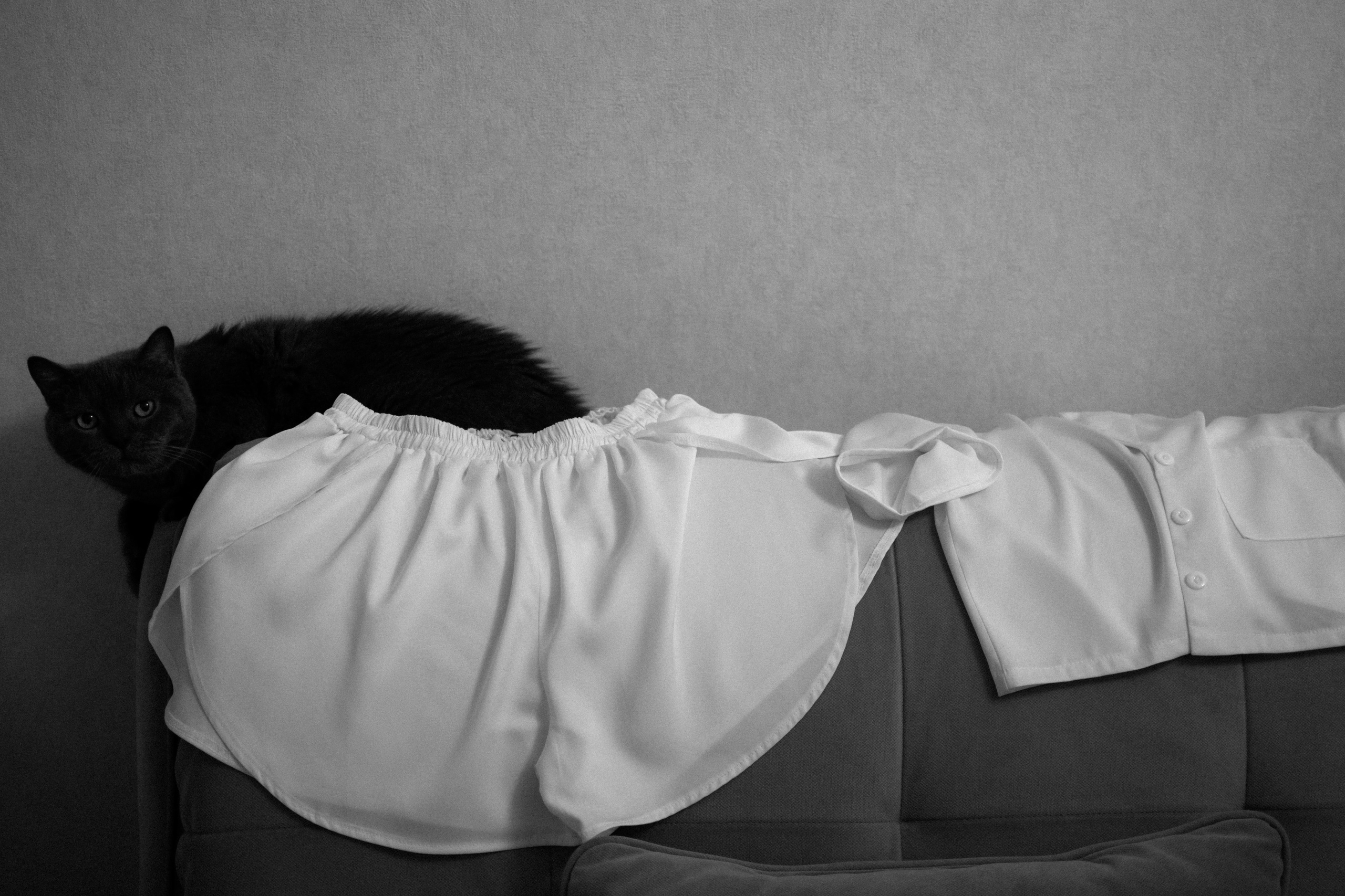 Свадебный фотограф Волгоград