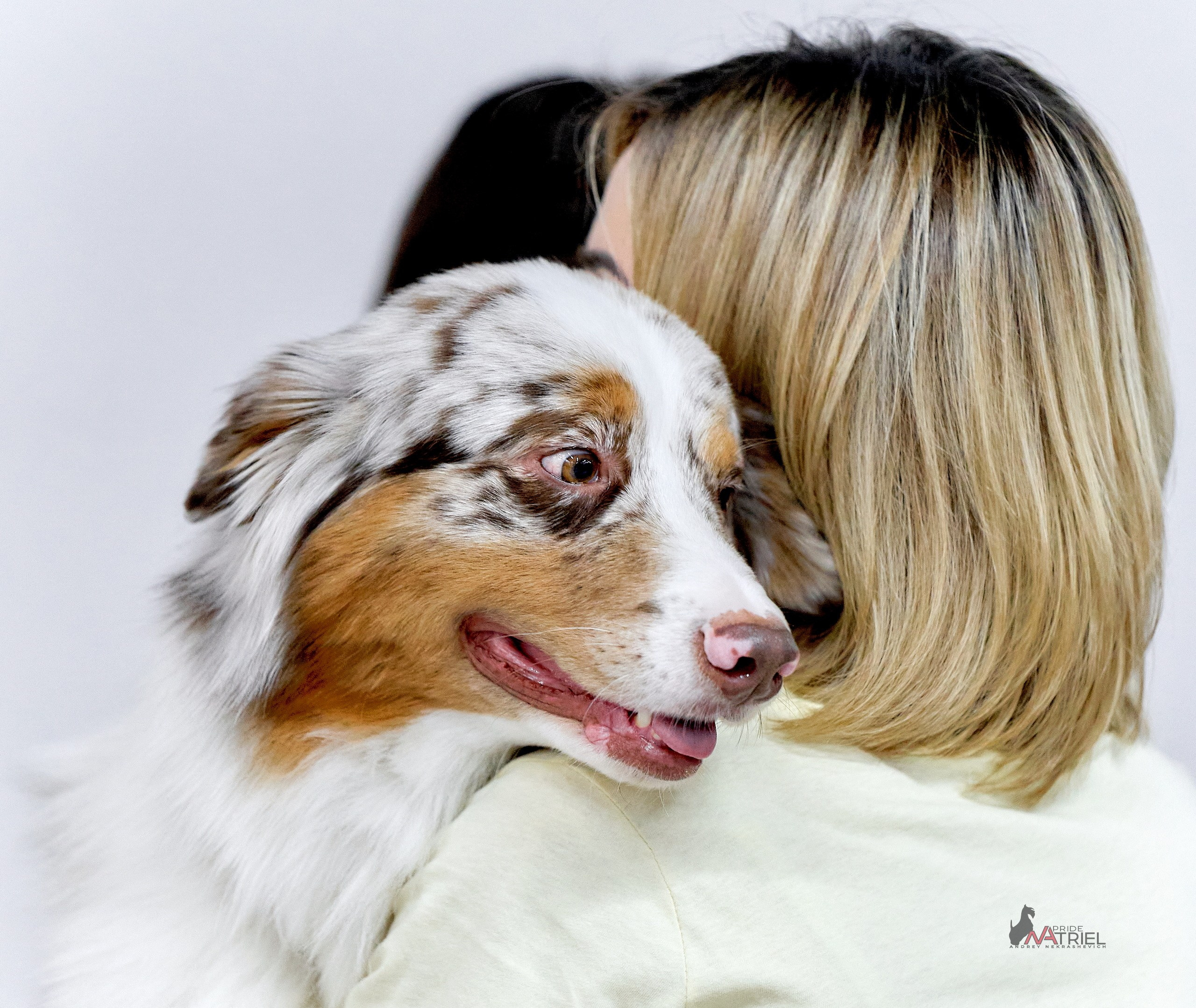 Картинки с выставки — галерея NATRIEL