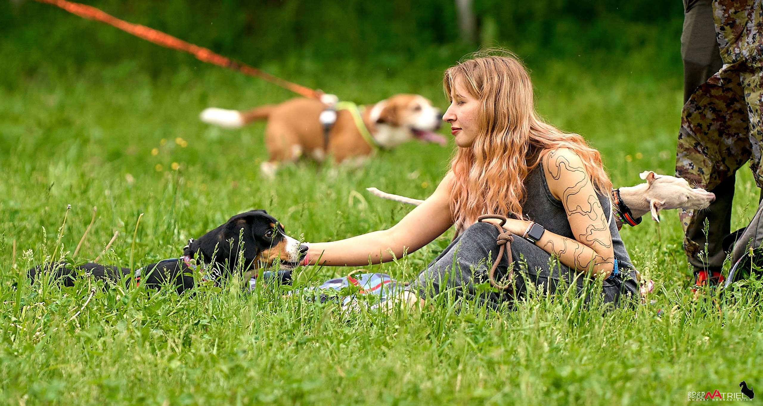 Russian Extreme Dog Trail — 2025