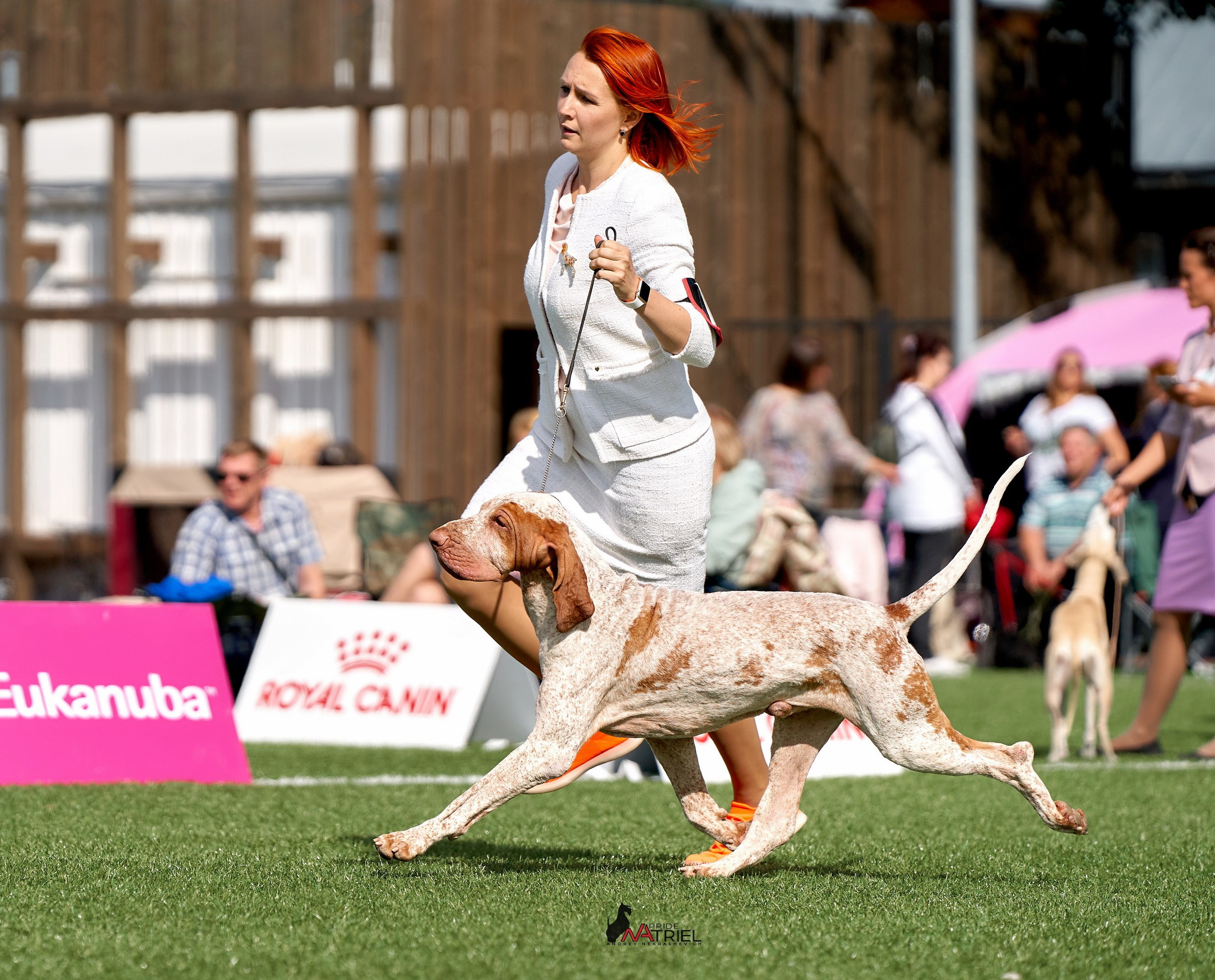 Работа в рингах — галерея NATRIEL