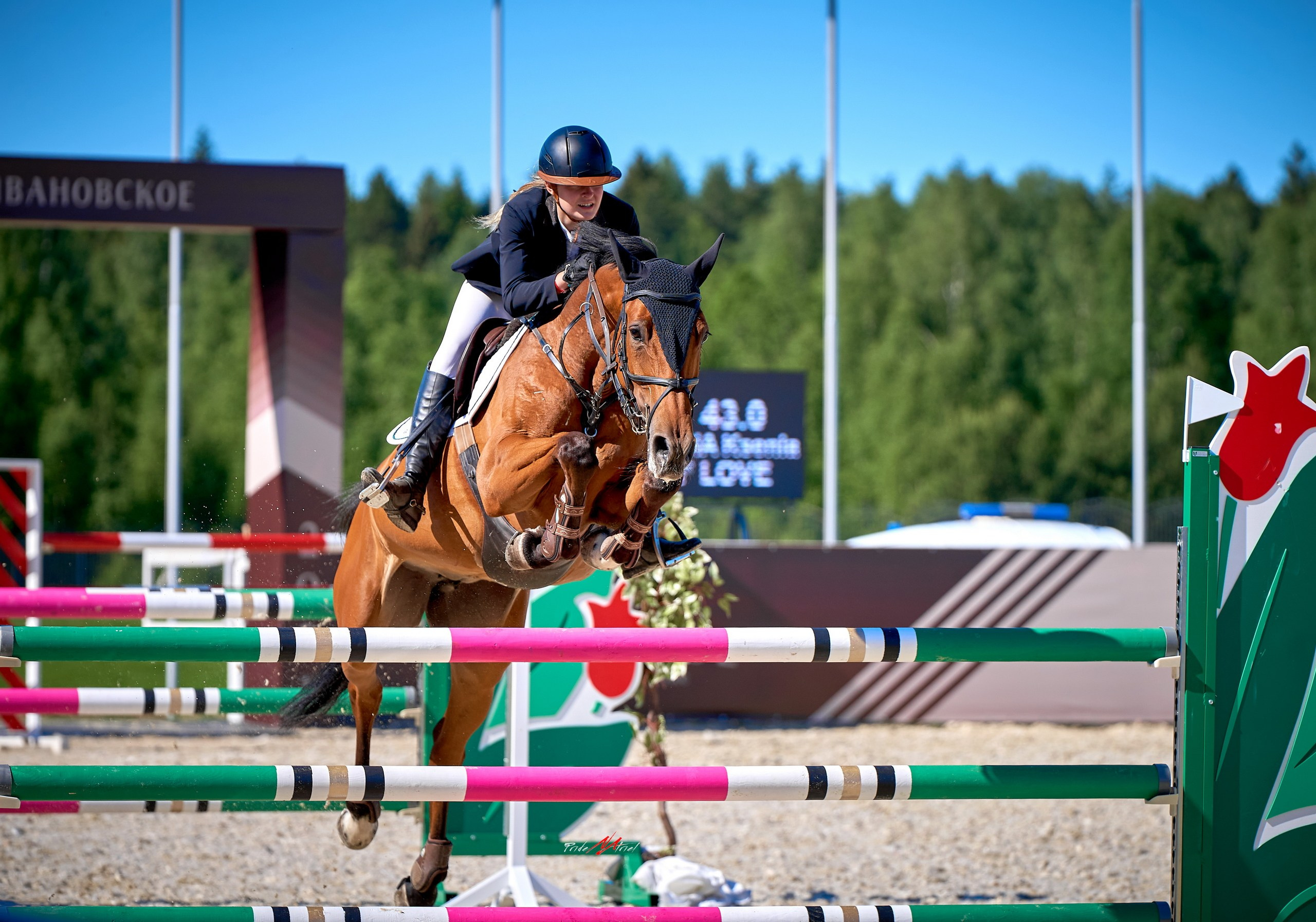 Соревнования на лошадях — галерея NATRIEL