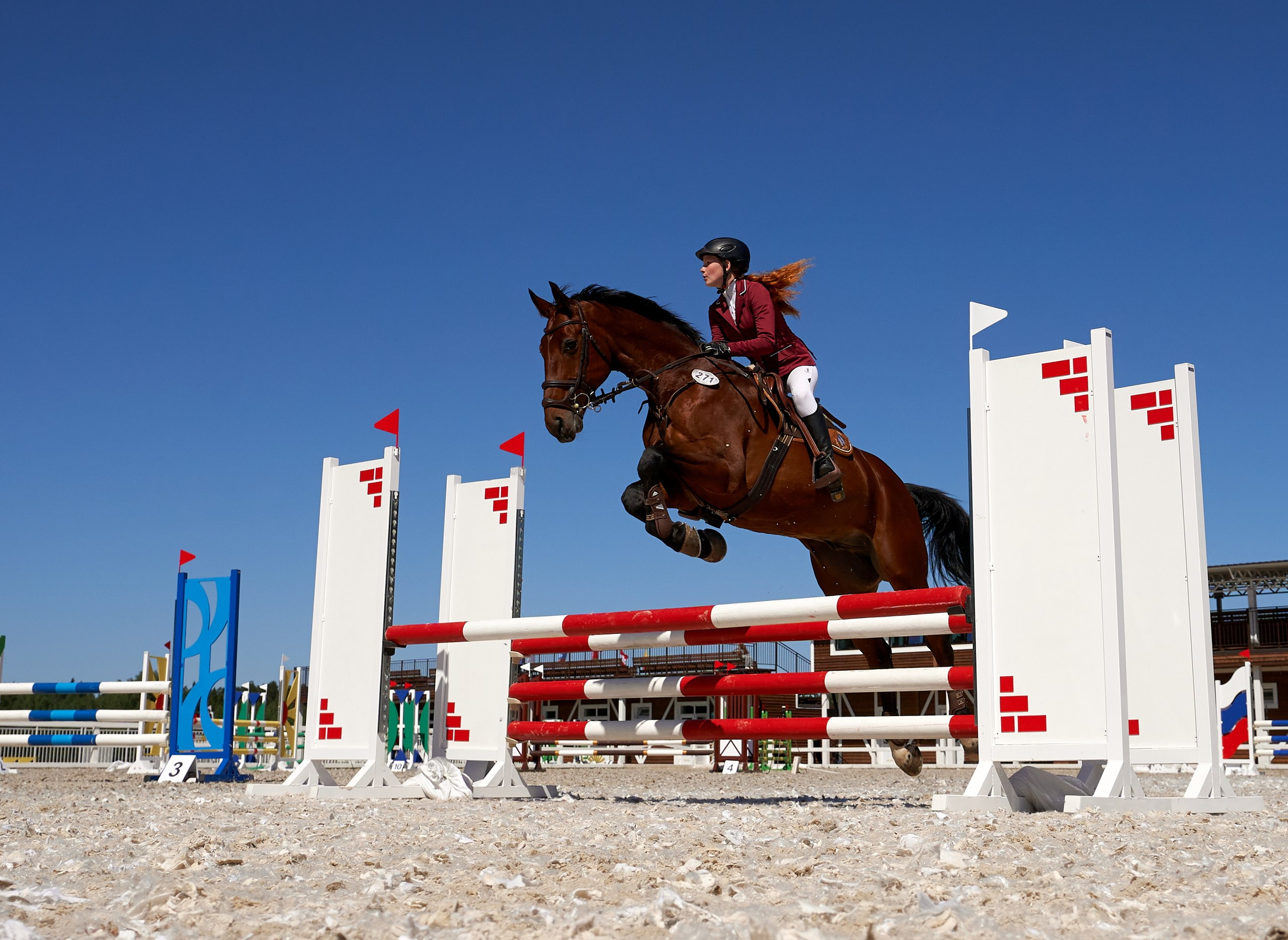 Соревнования на лошадях — галерея NATRIEL