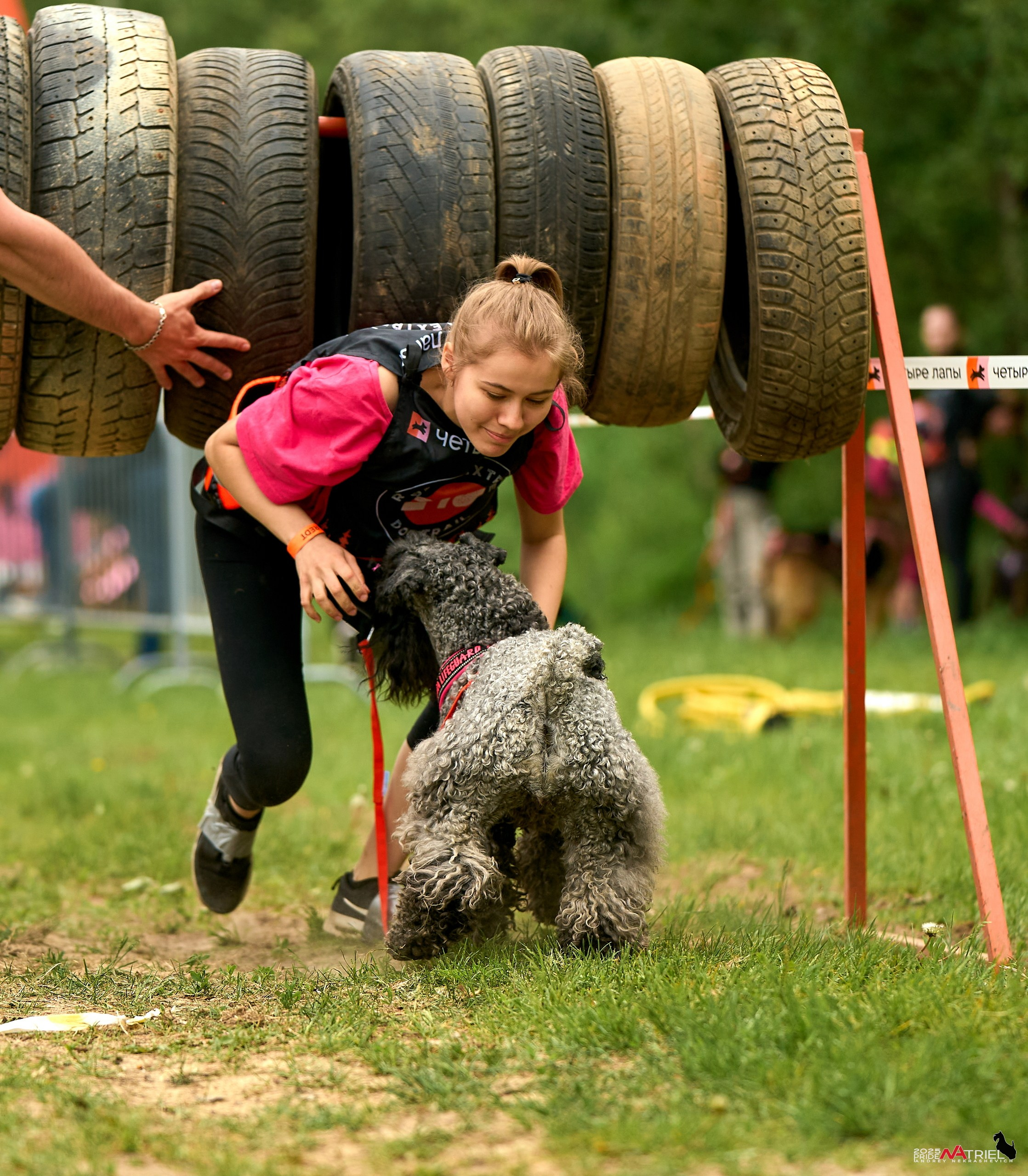 Russian Extreme Dog Trail — 2025