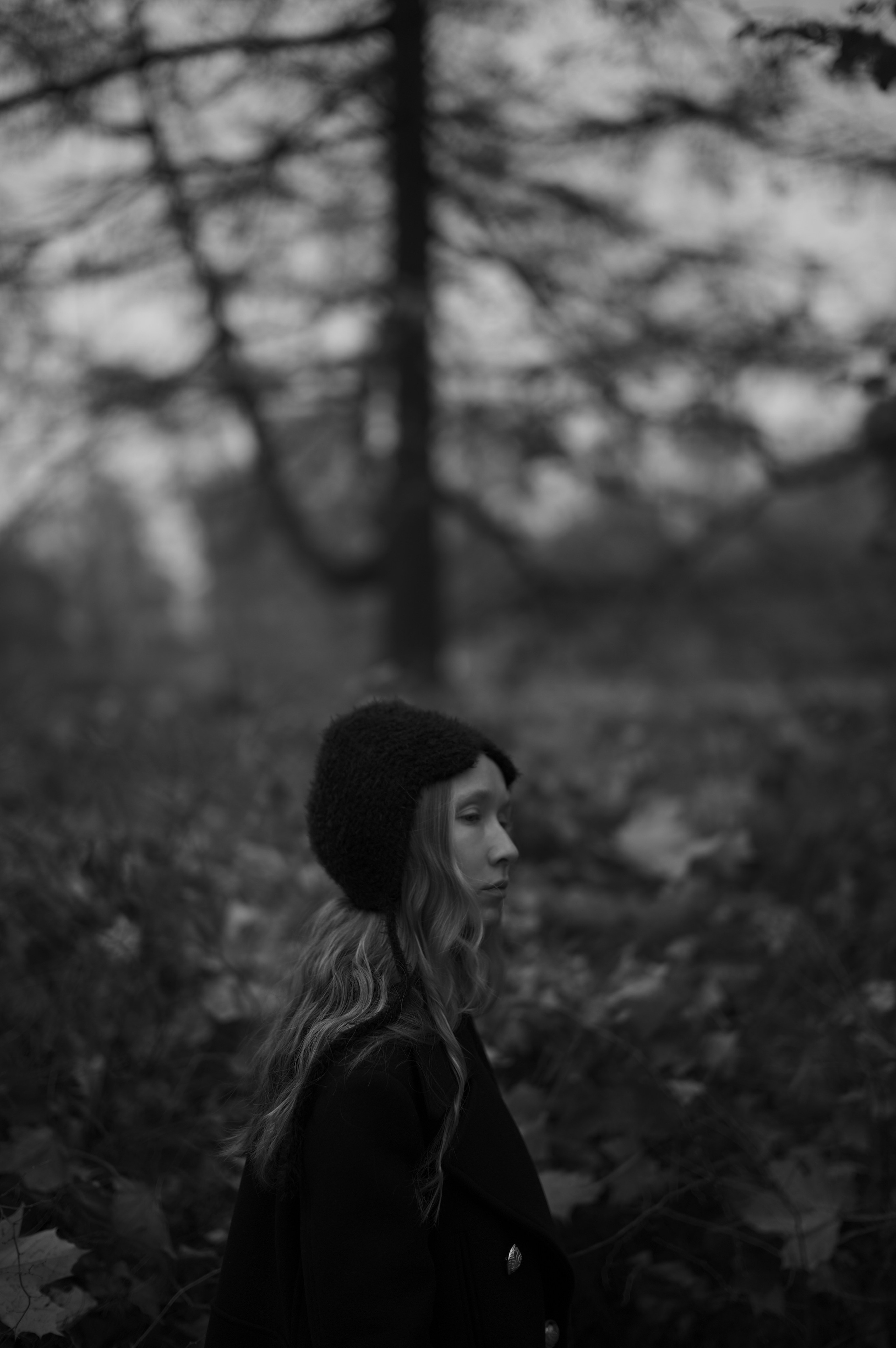 Black Autumn. Фотограф Александр Медведев