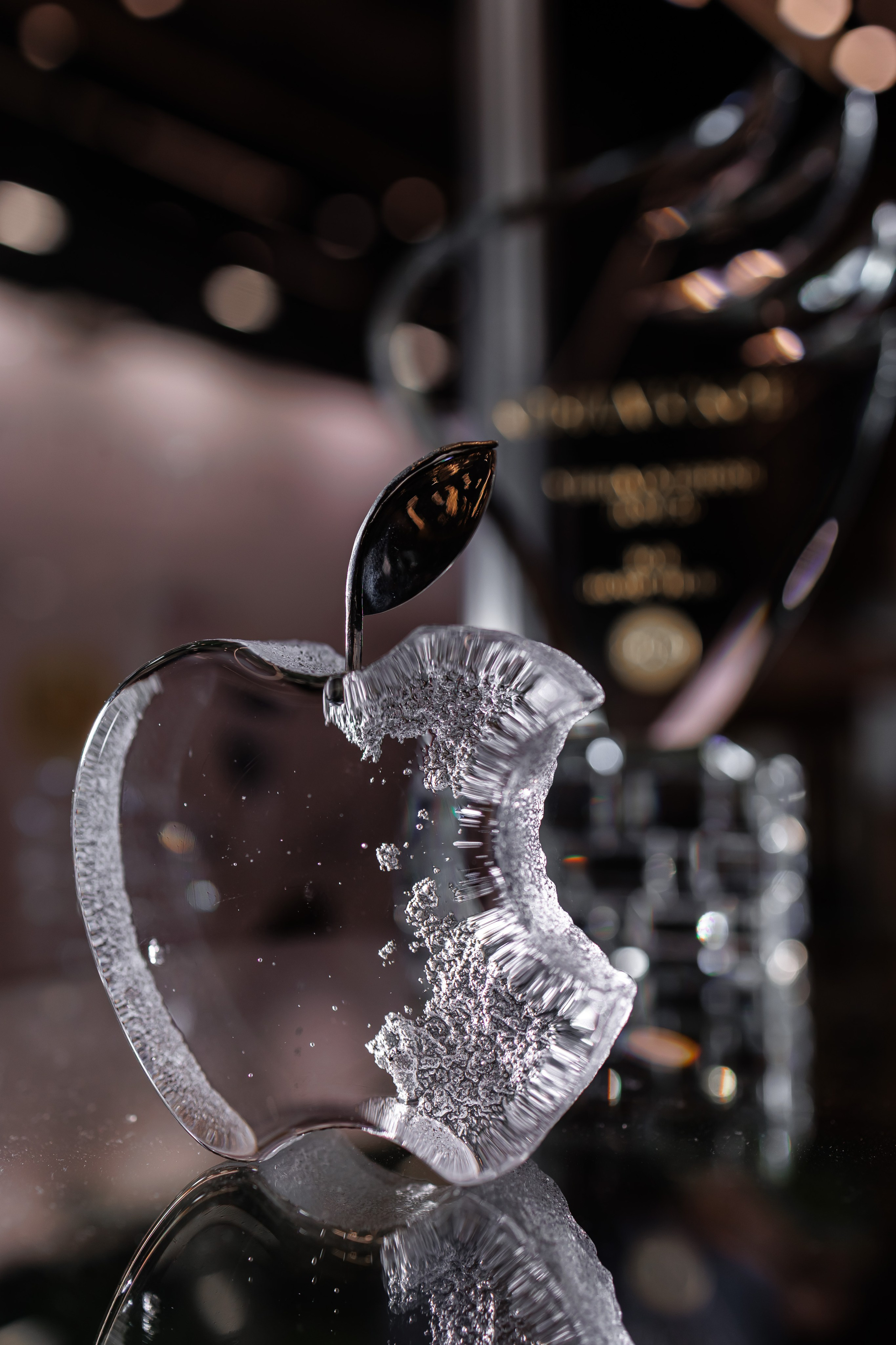 Клуб подарков. Экологический форум. Фотограф на мероприятие в Санкт-Петербурге