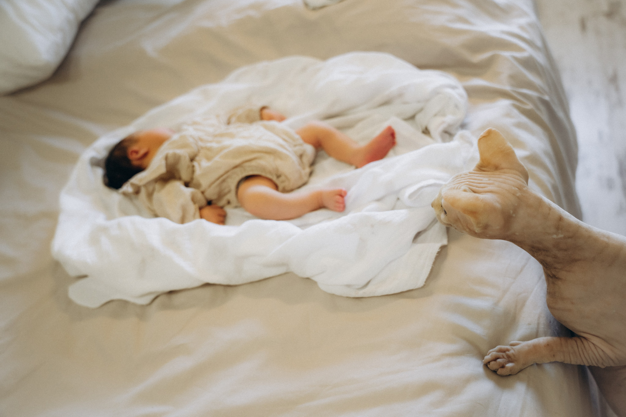 Вика и Дима. Аплас Анастасия