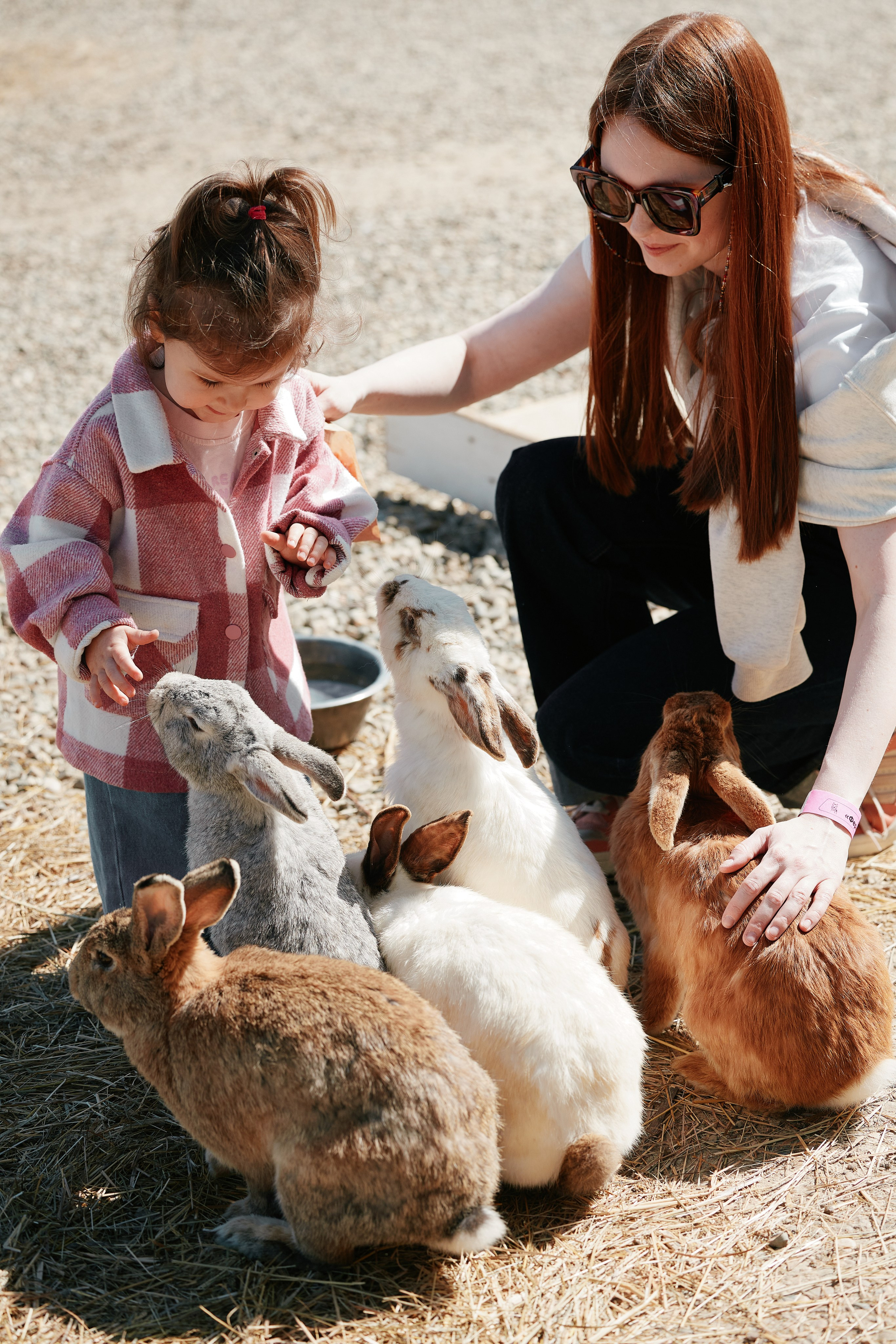PRIVATE Weekend на Ферме Альпак 19.04. Свадебный репортажный фотограф краснодар максим дремов дрёмов фотосессия студия цена