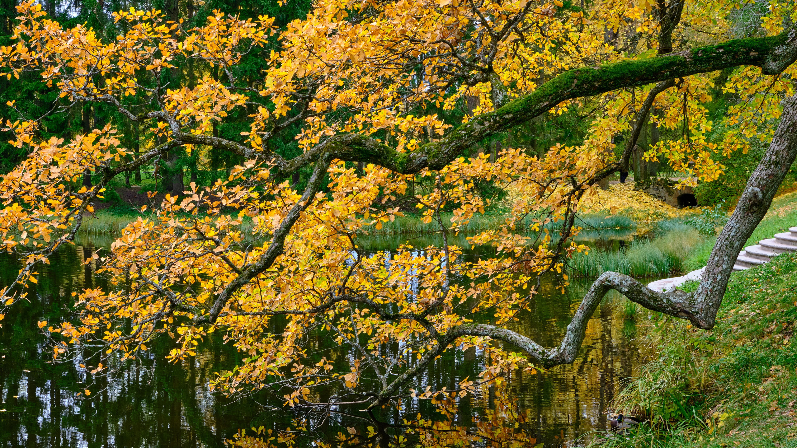 Времена года. Пейзажи Крайнего Севера. Баренцево море, Рыбачий, Средний, Немецкий