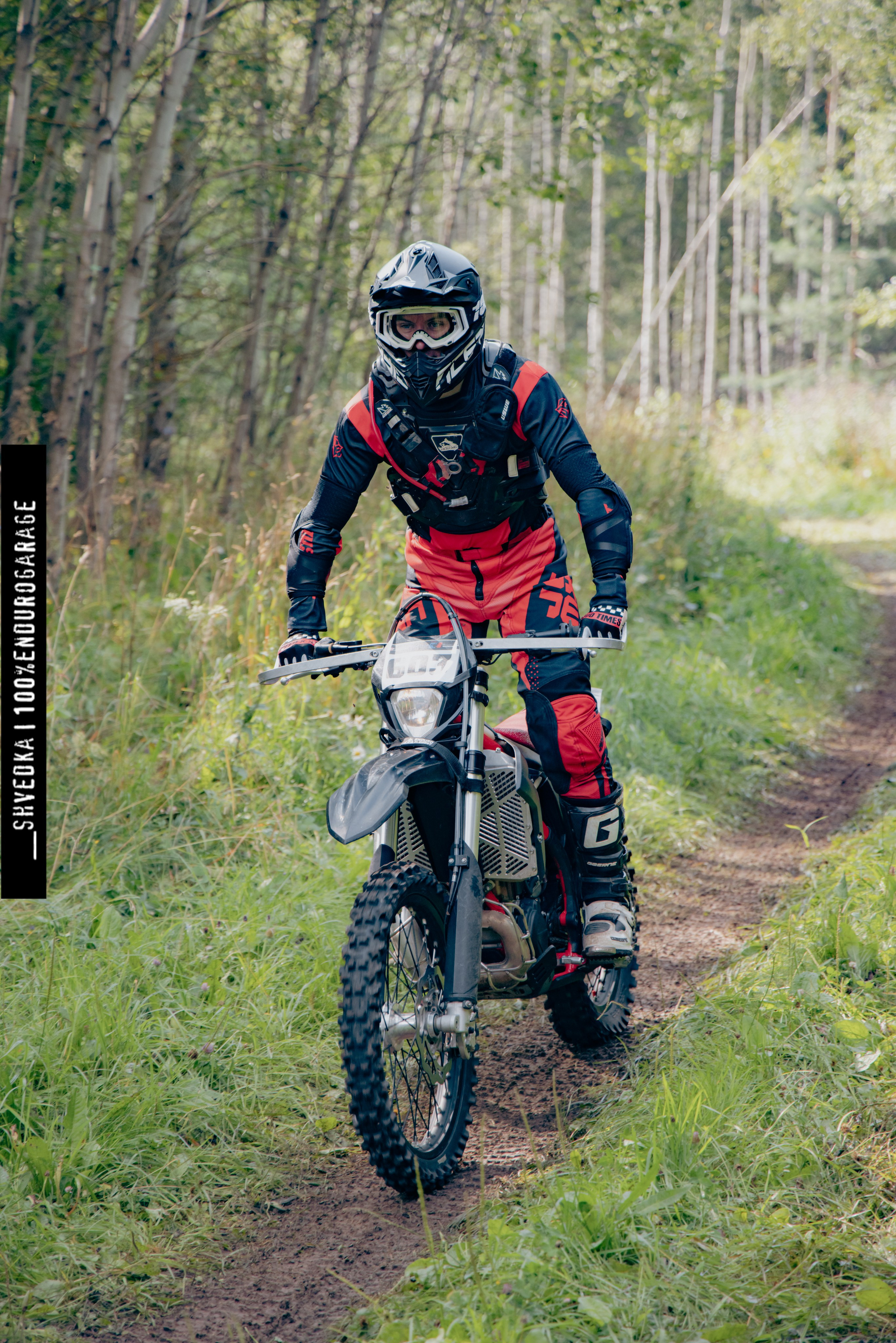 ВТОРОЙ ЛЕСНОЙ ДЕНЬ. Ваш экстрим фотограф Кудрева Яна