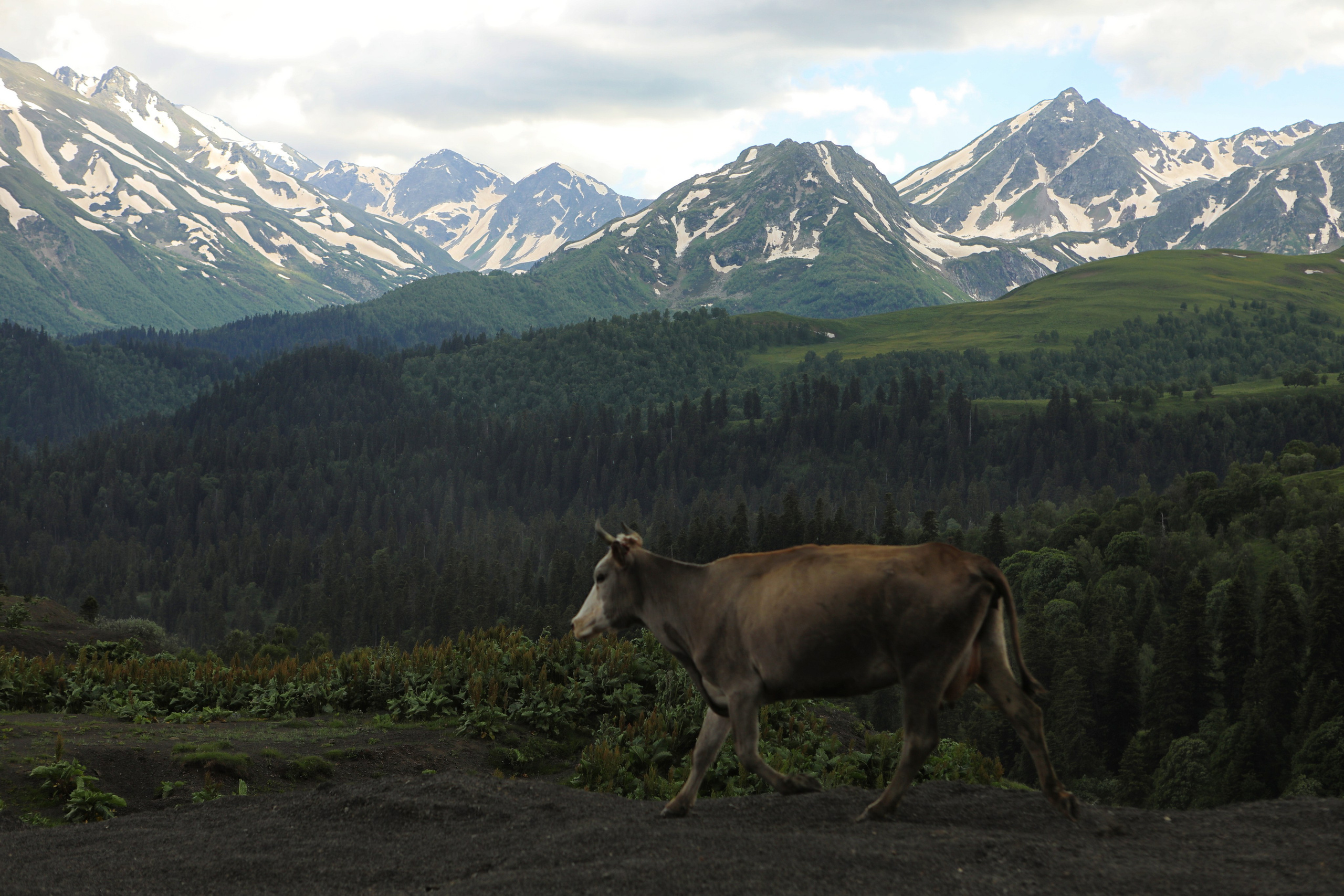 Пейзаж. Фотограф Наталья Туева FineArt съёмка