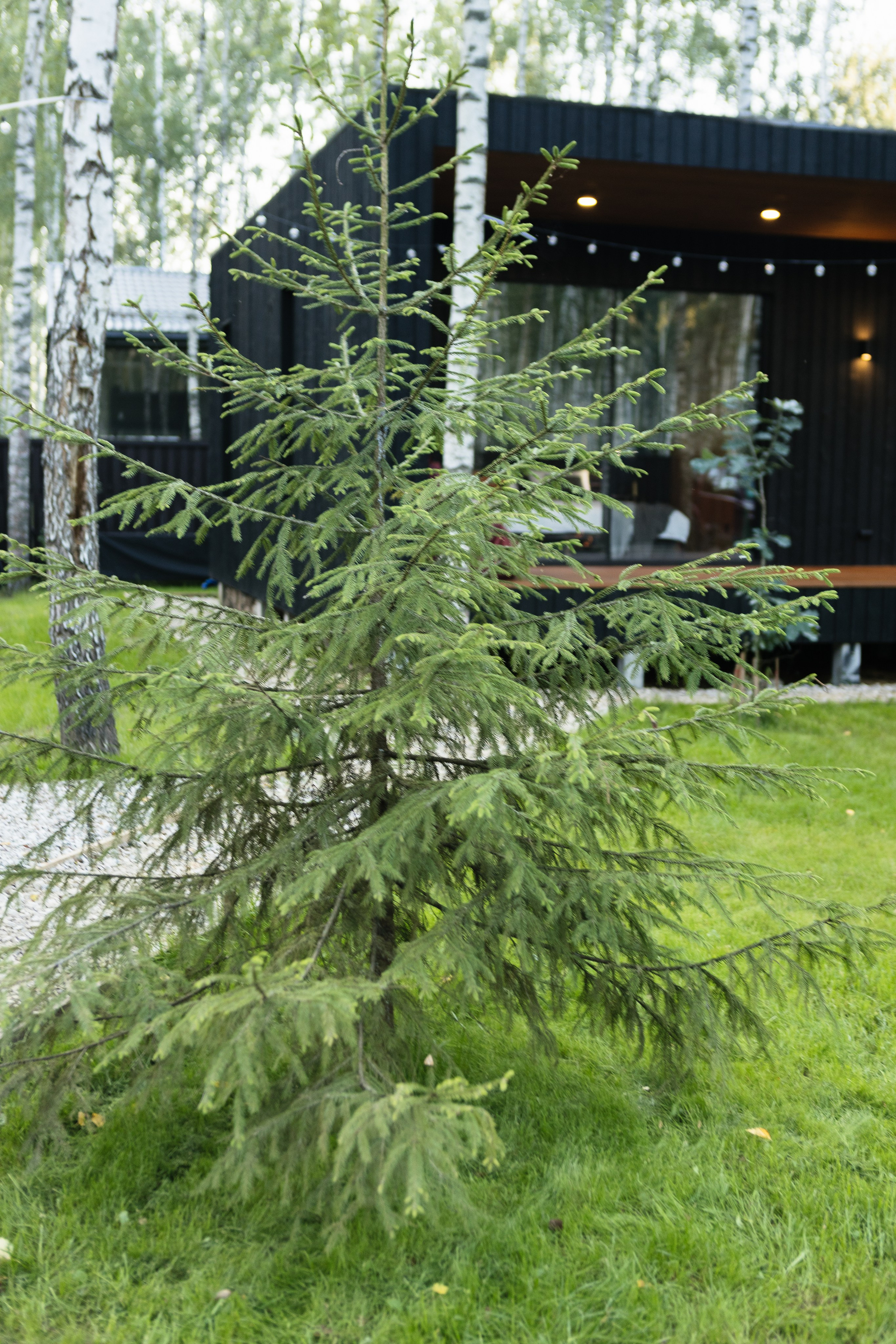 Загородный дом. Свадебный и семейный фотограф Чижова Алина