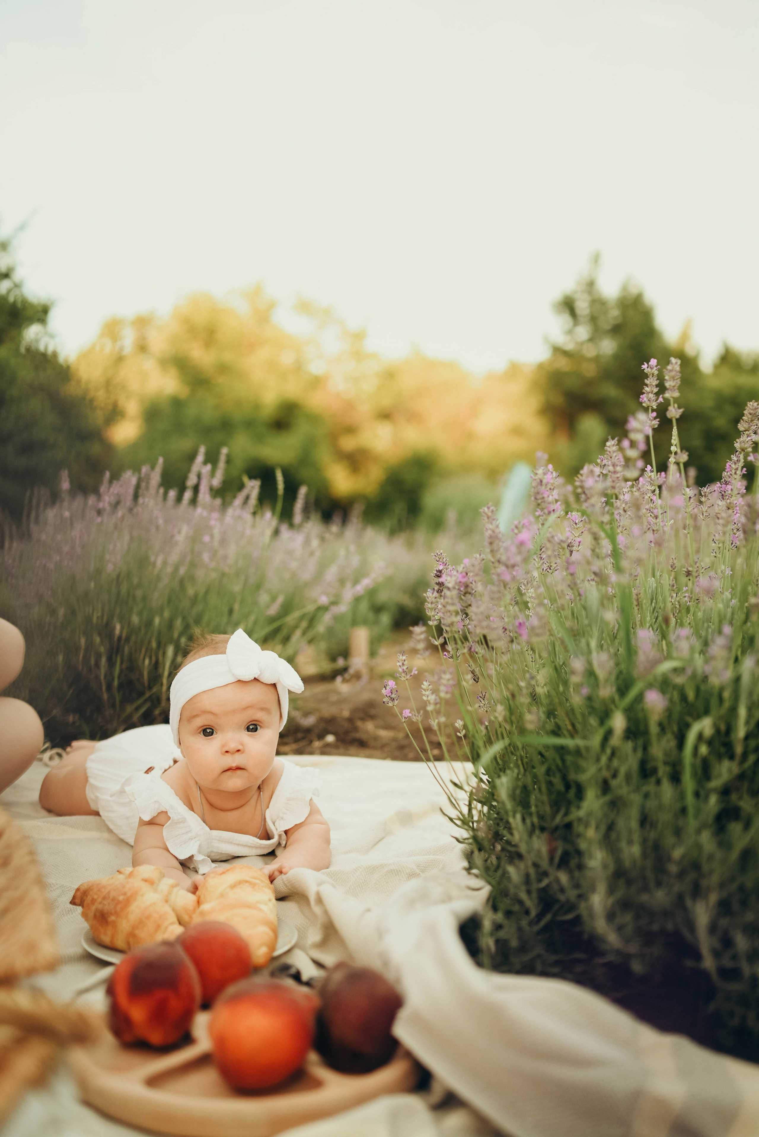 Лавандовая история в бот.саду Воронежа. Семейный фотограф в Москве Люберцах Ирина Вронская