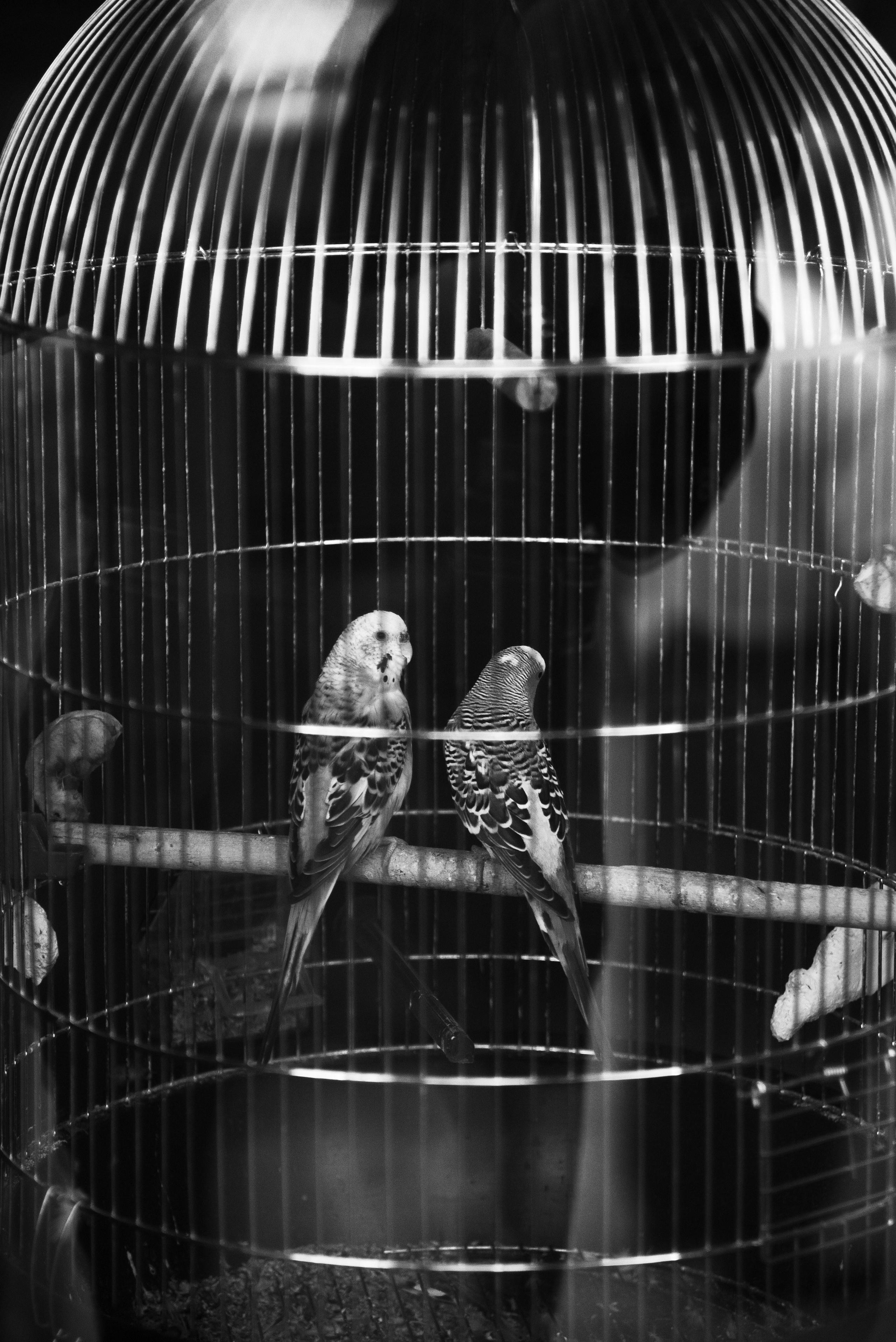 Свадебный фотограф в Волгограде. Свадебный, портретный фотограф в Волгограде Ермашова Дарья