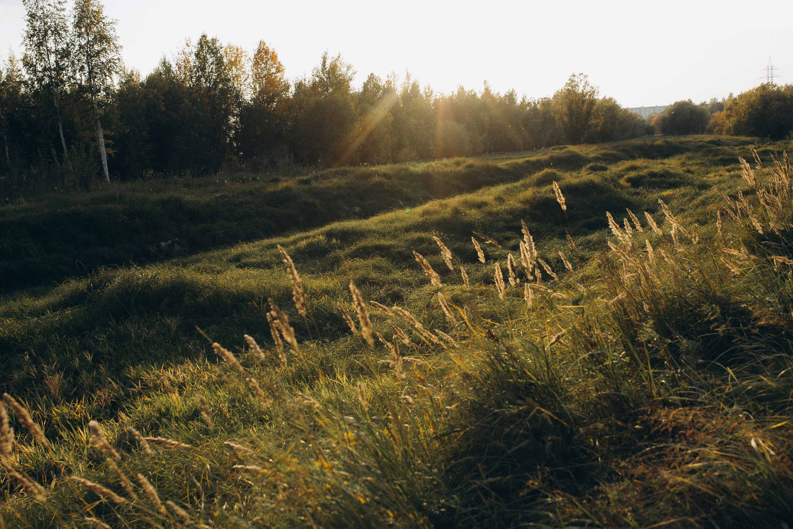 Надежда и Максим. Свадебные фотографы в г. Сургут Маркова Наталья и Замахина Елена