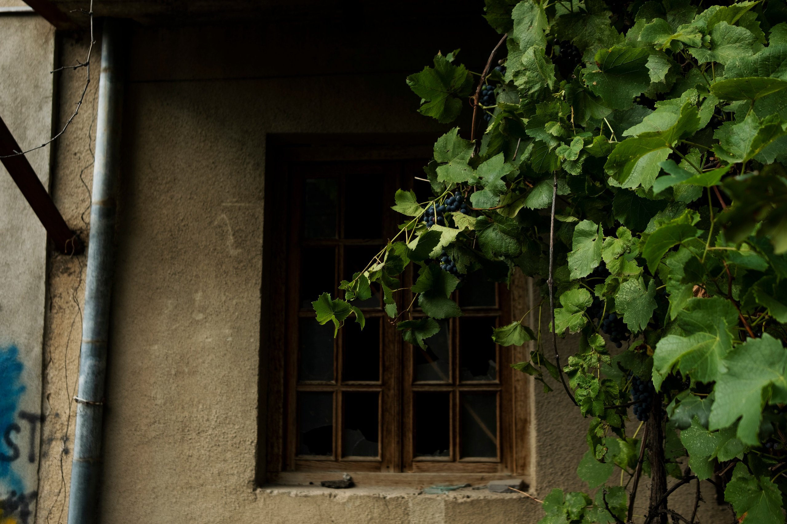 Тбилиси, 2024. Портретный фотограф в Москве Евгения Яковенко