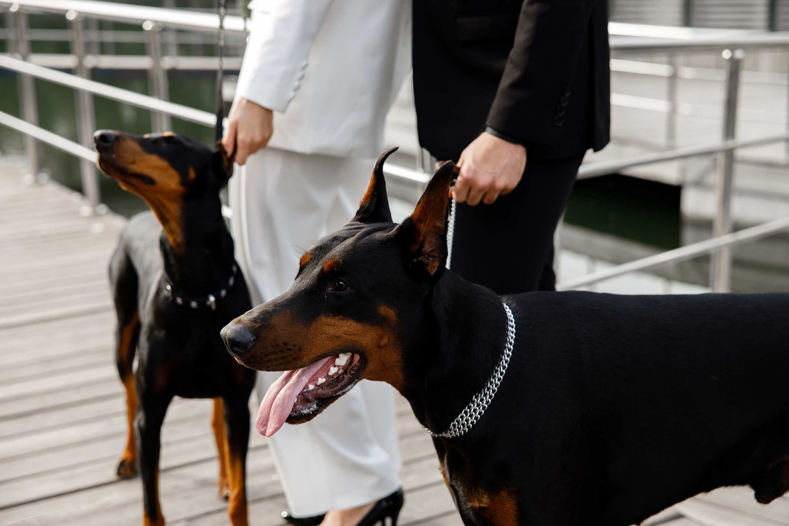 Season'22|august. Свадебный и семейный фотограф Москва Рязань Елена Клюева