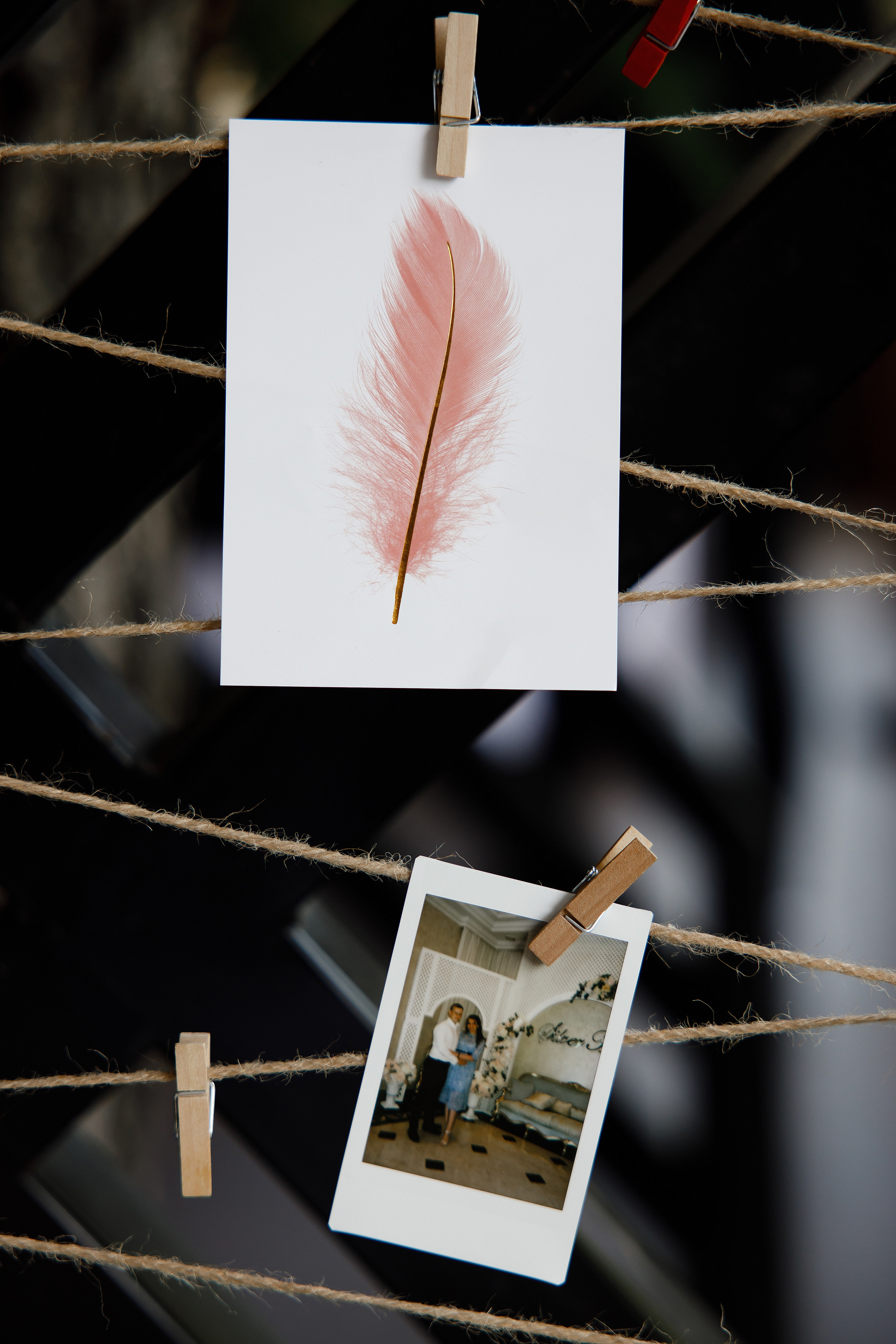 Season'22|june10. Свадебный и семейный фотограф Москва Рязань Елена Клюева