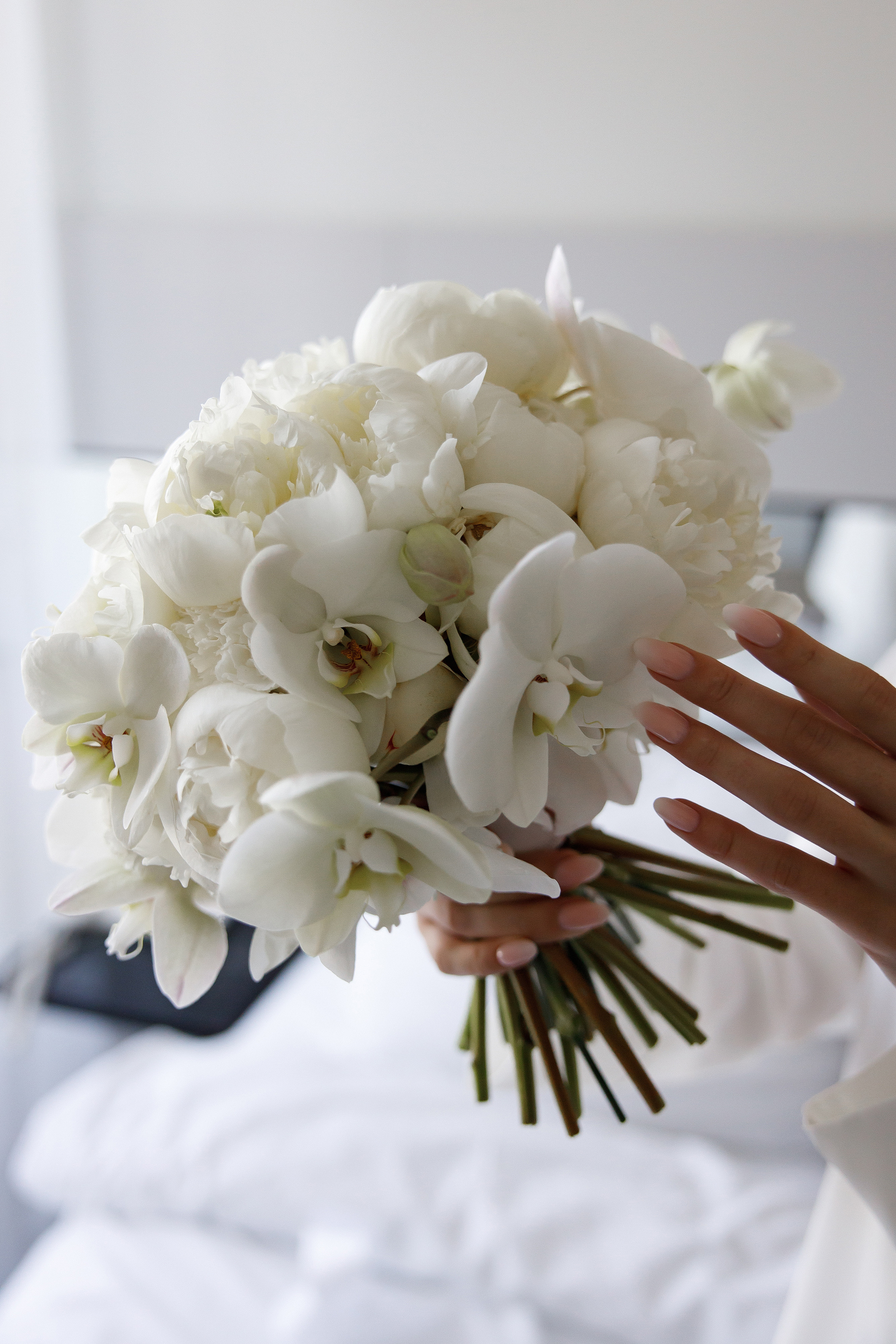 Season'22|jule01. Свадебный и семейный фотограф Москва Рязань Елена Клюева