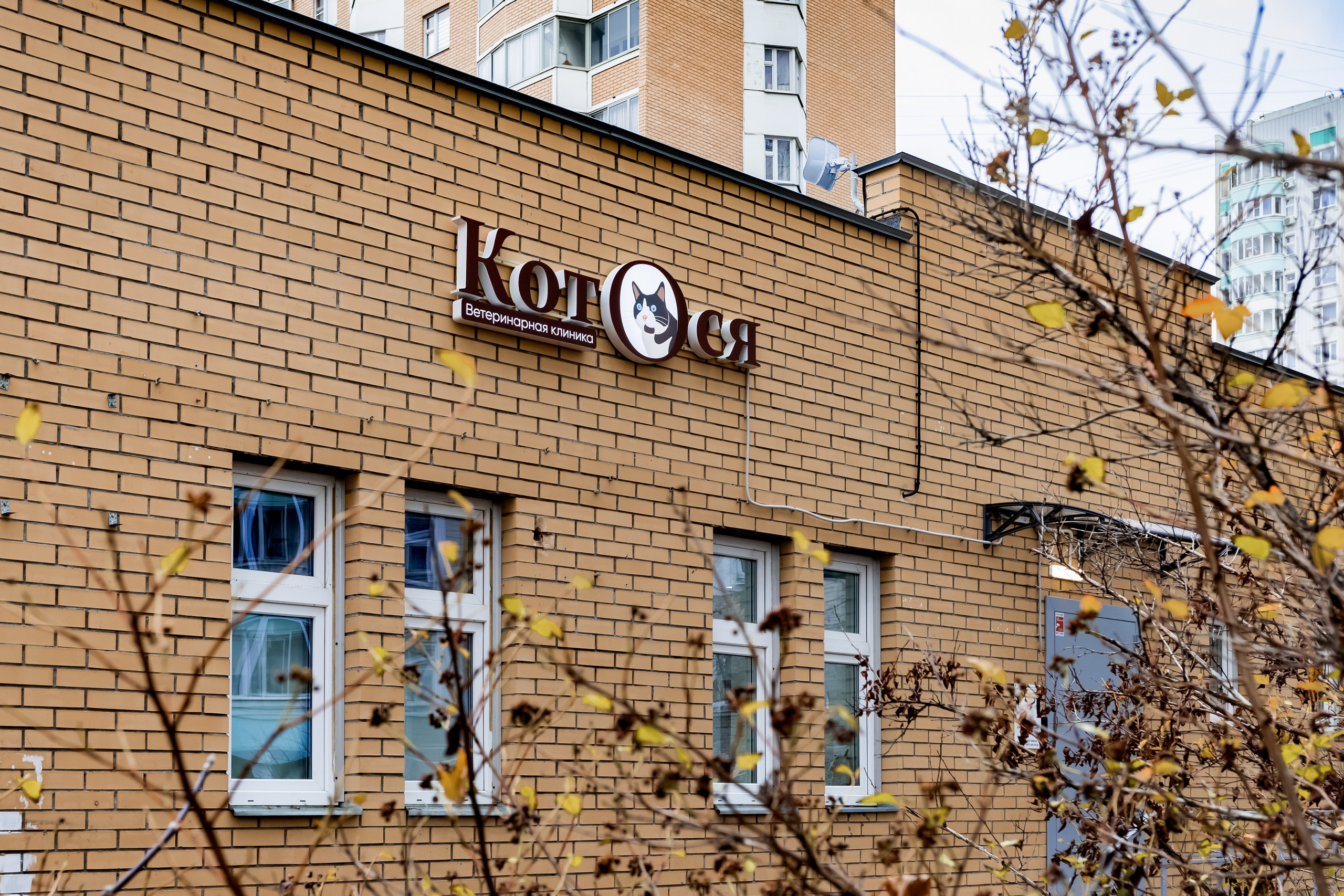 Интерьерная съемка для ветеринарной клиники КотОся. Интерьеры, Контент, Портреты | Фотограф в Москве Дани Терно