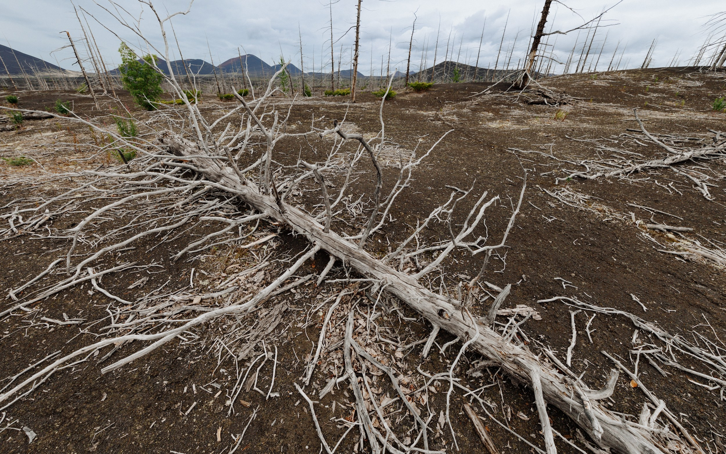 Путешествие на Камчатку. Alexey Shabanov photography