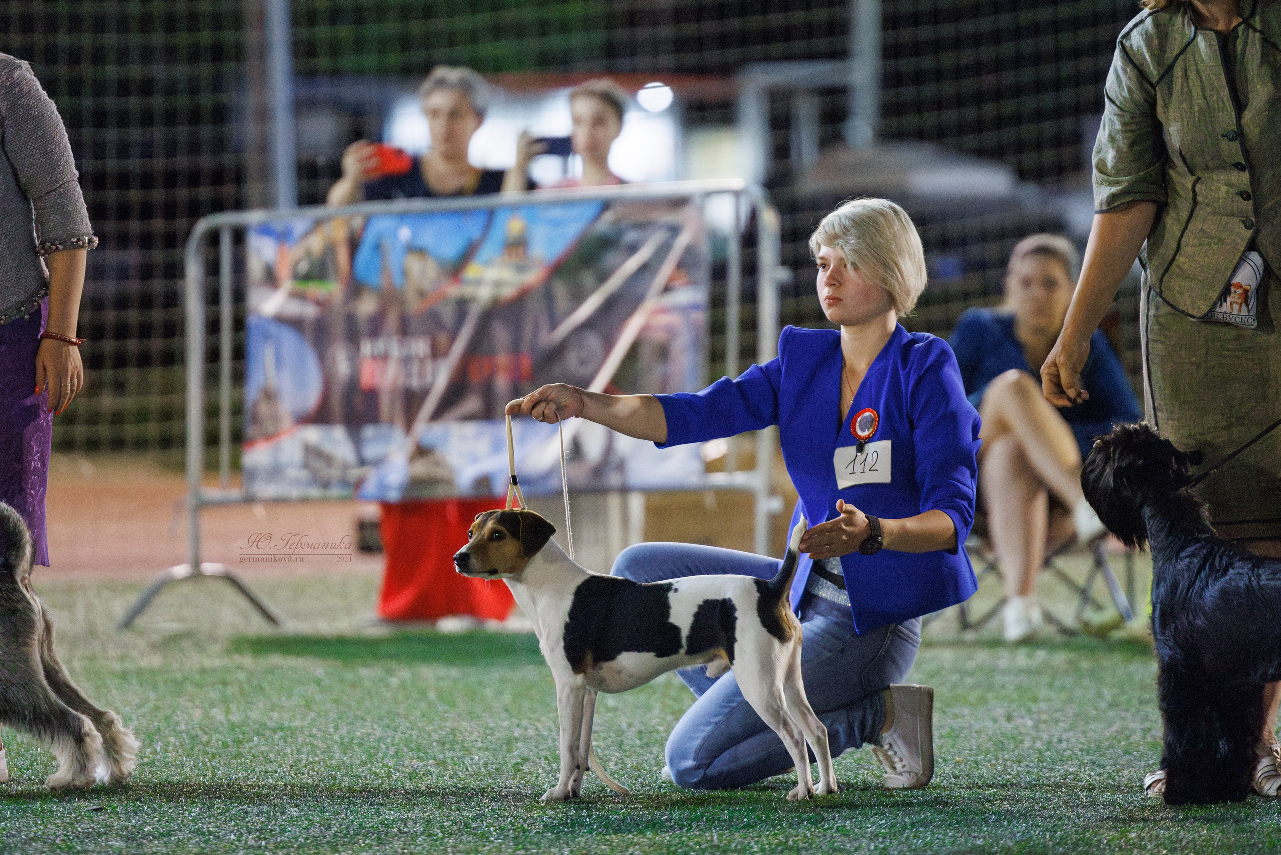 Волгоград 2-4.08.2024. Фотограф-анималист Юлия Германика