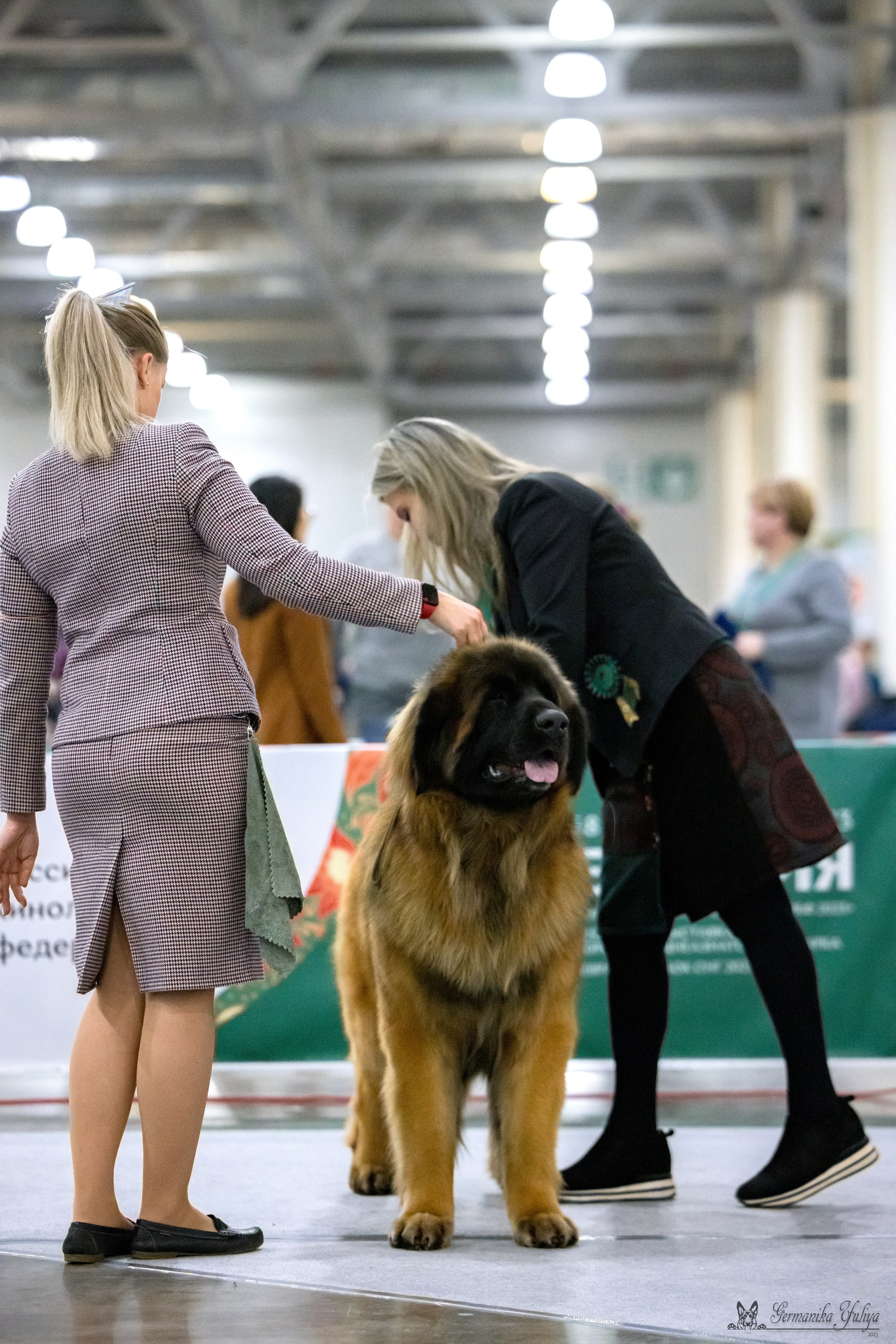 ЕВРАЗИЯ 18-19.11.2023. Фотограф-анималист Юлия Германика