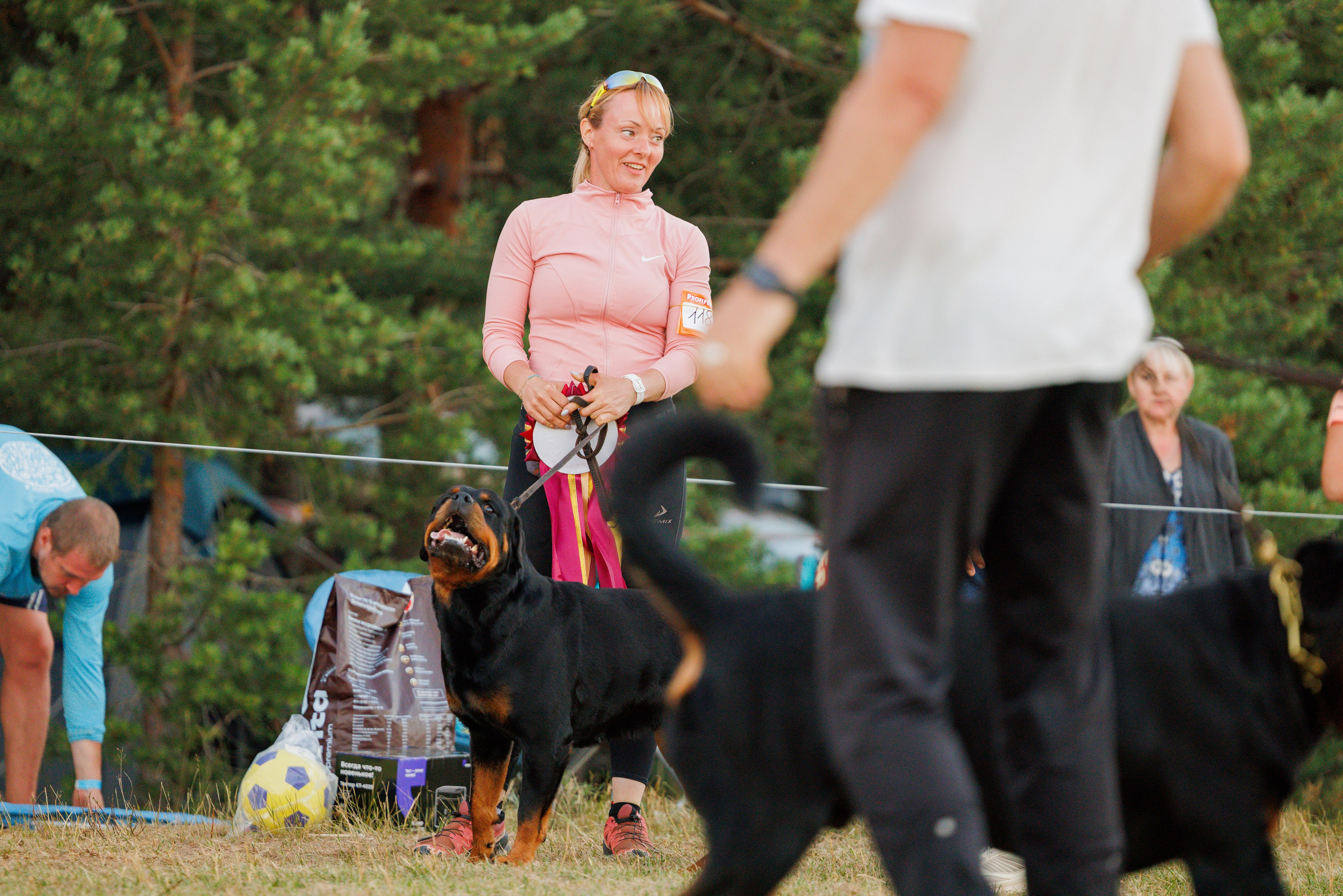ПК и КЧК ротвейлеры Тверь 6-7.07.2024. Фотограф-анималист Юлия Германика