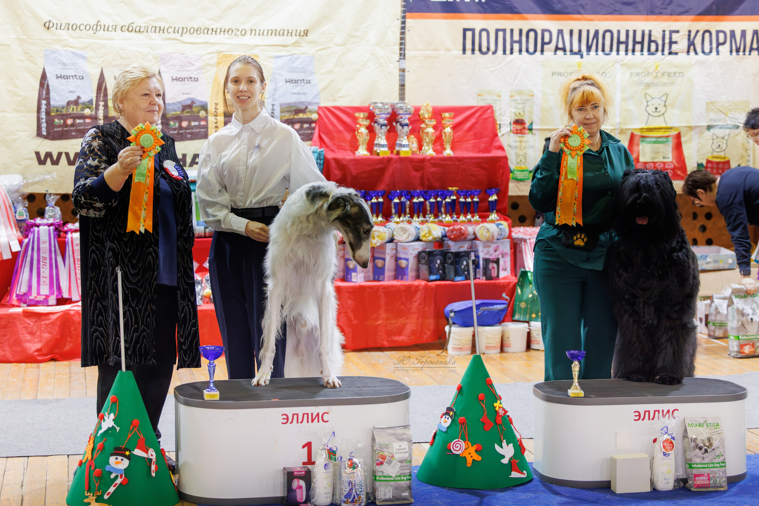 Тверь 21.12.2025. Фотограф-анималист Юлия Германика