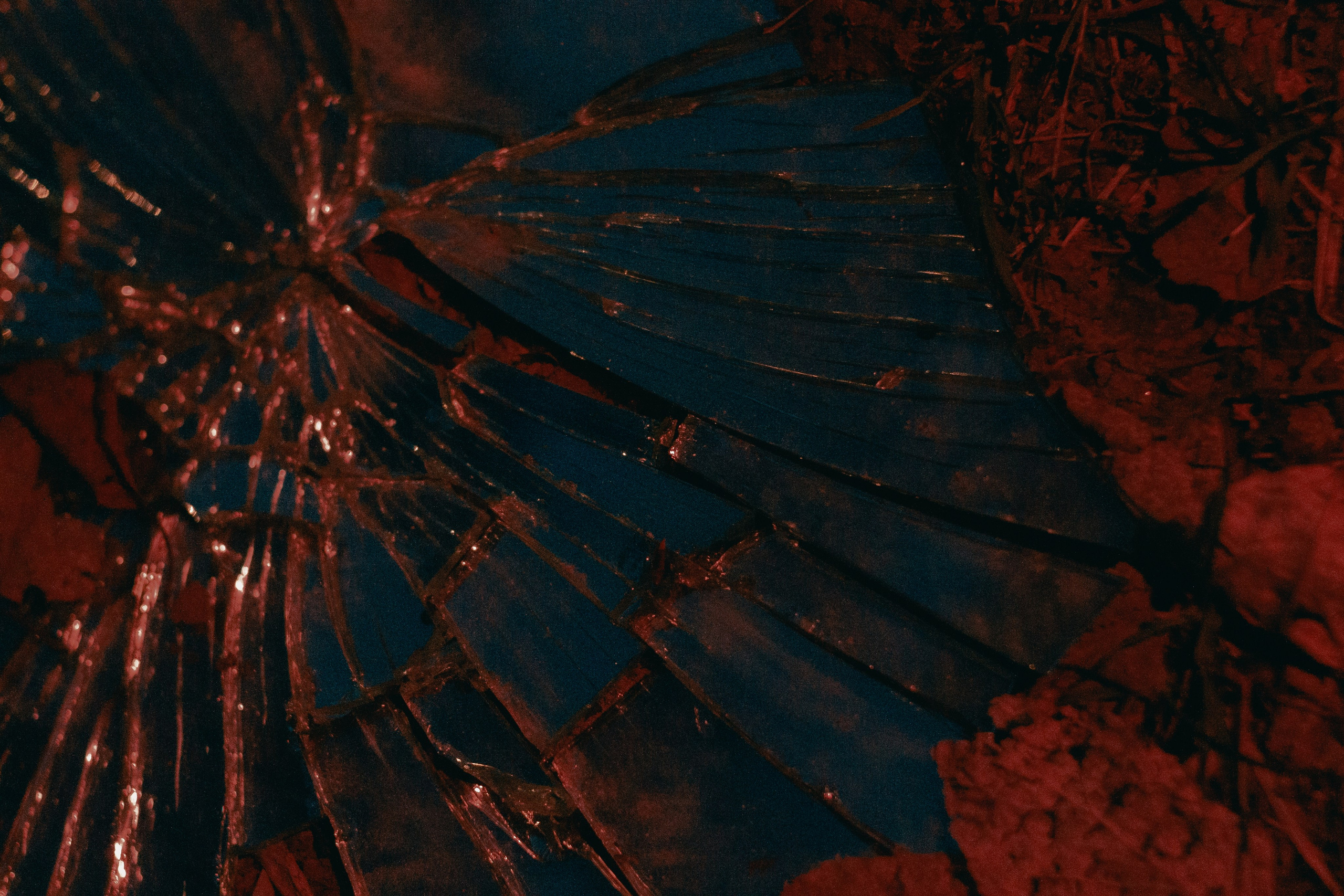 Дарья. Борщевская Елизавета / фотограф Иркутск