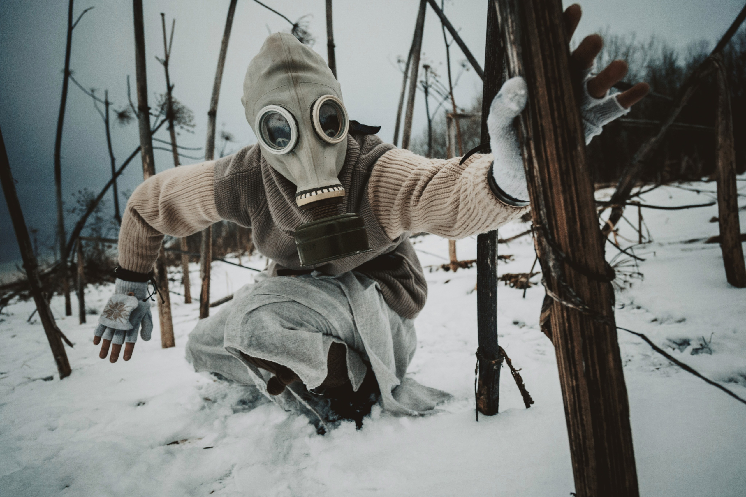 2024-11-23. Операция «Борщевик»