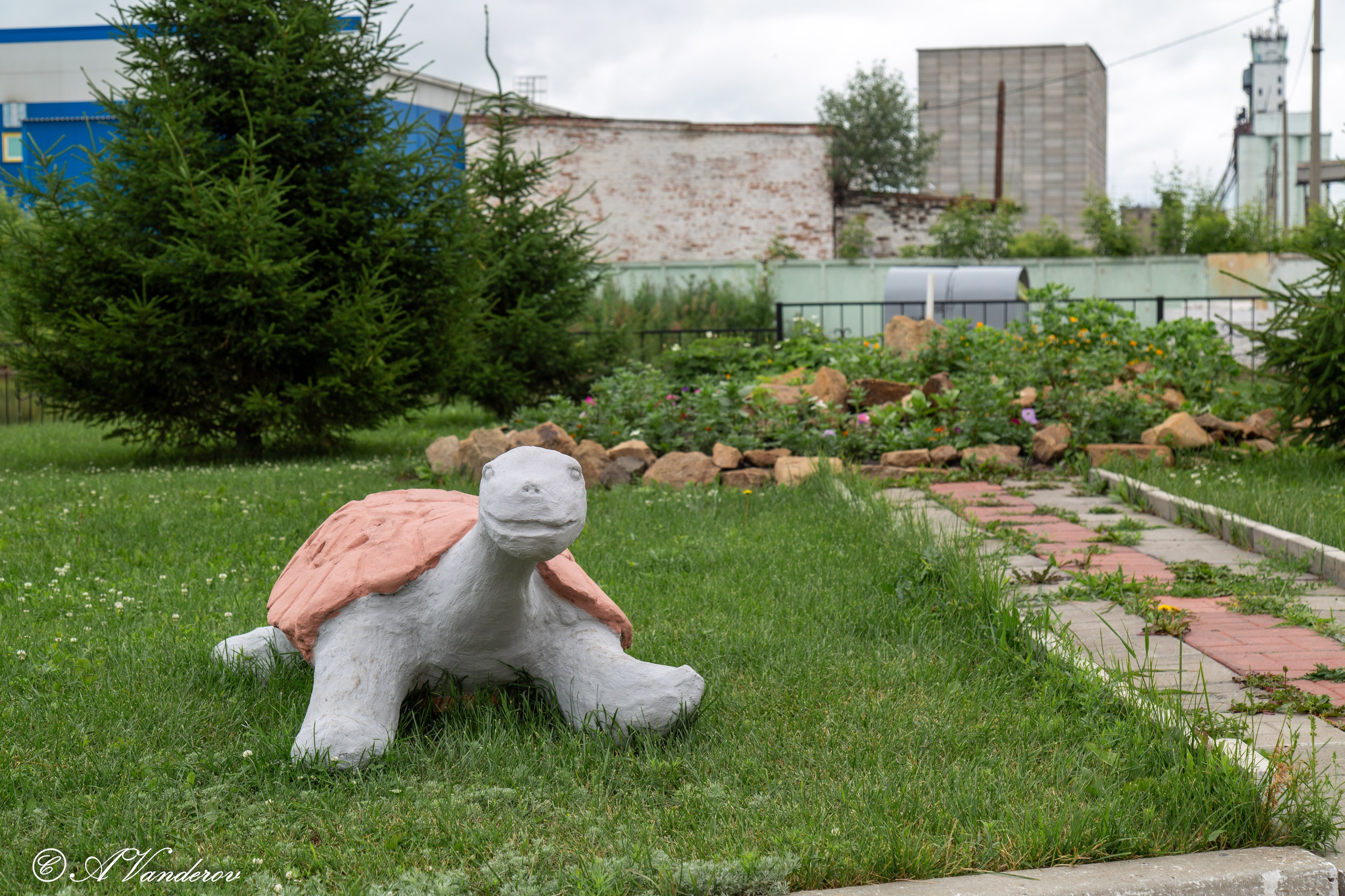 Калачинск 07.07.2024. Фотограф Омск | Александр Вандеров