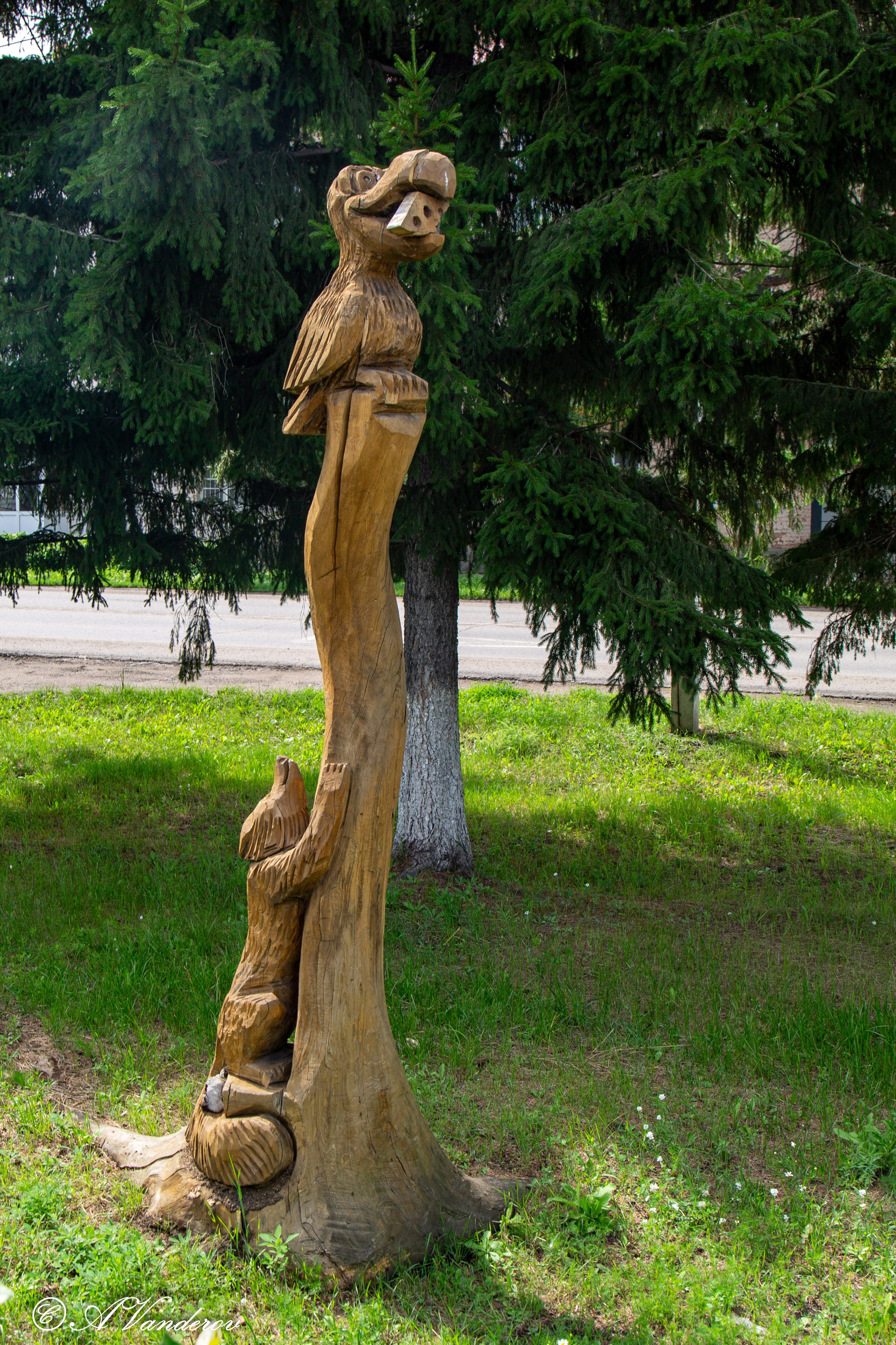 Калачинск 07.07.2024. Фотограф Омск | Александр Вандеров