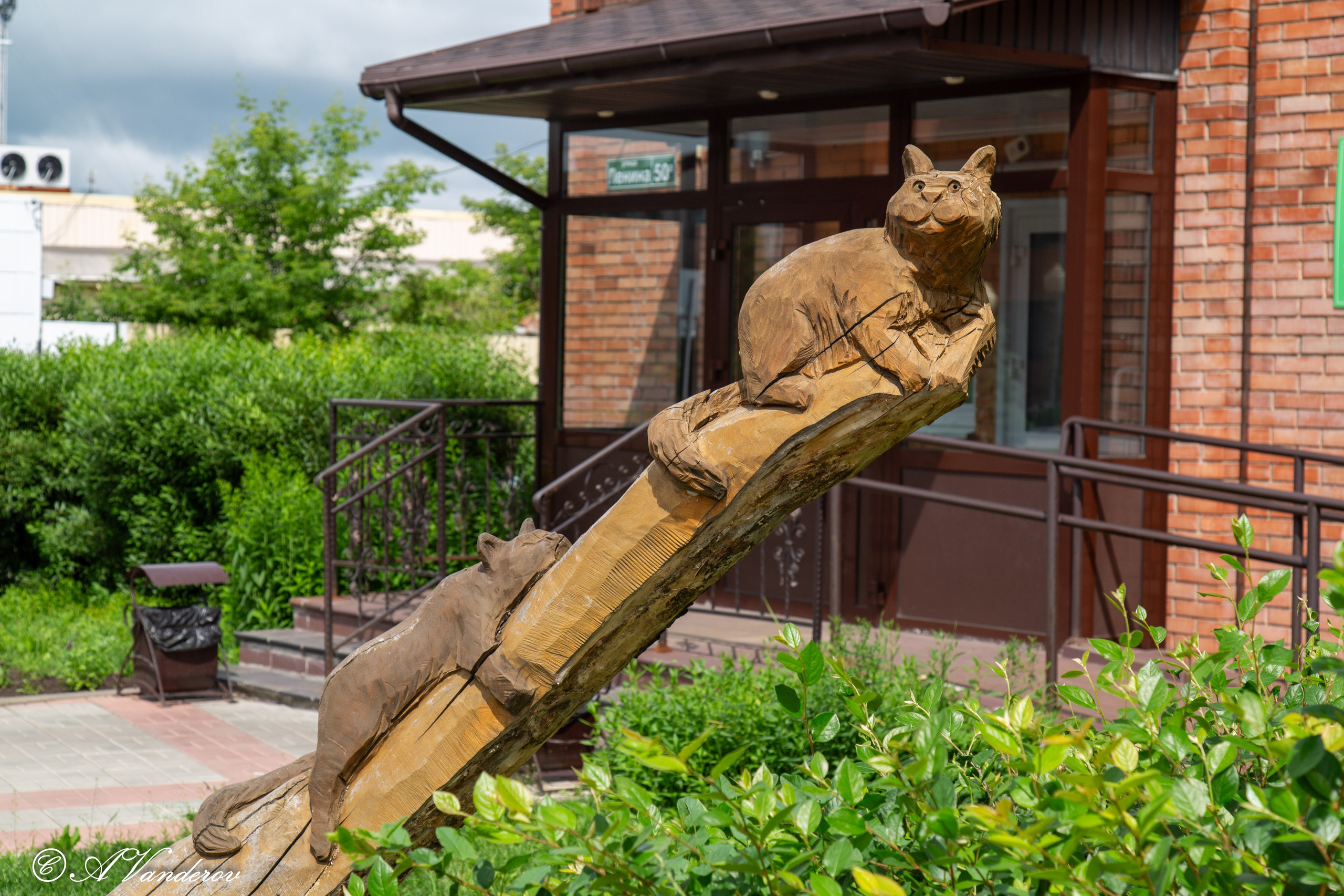 Калачинск 07.07.2024. Фотограф Омск | Александр Вандеров