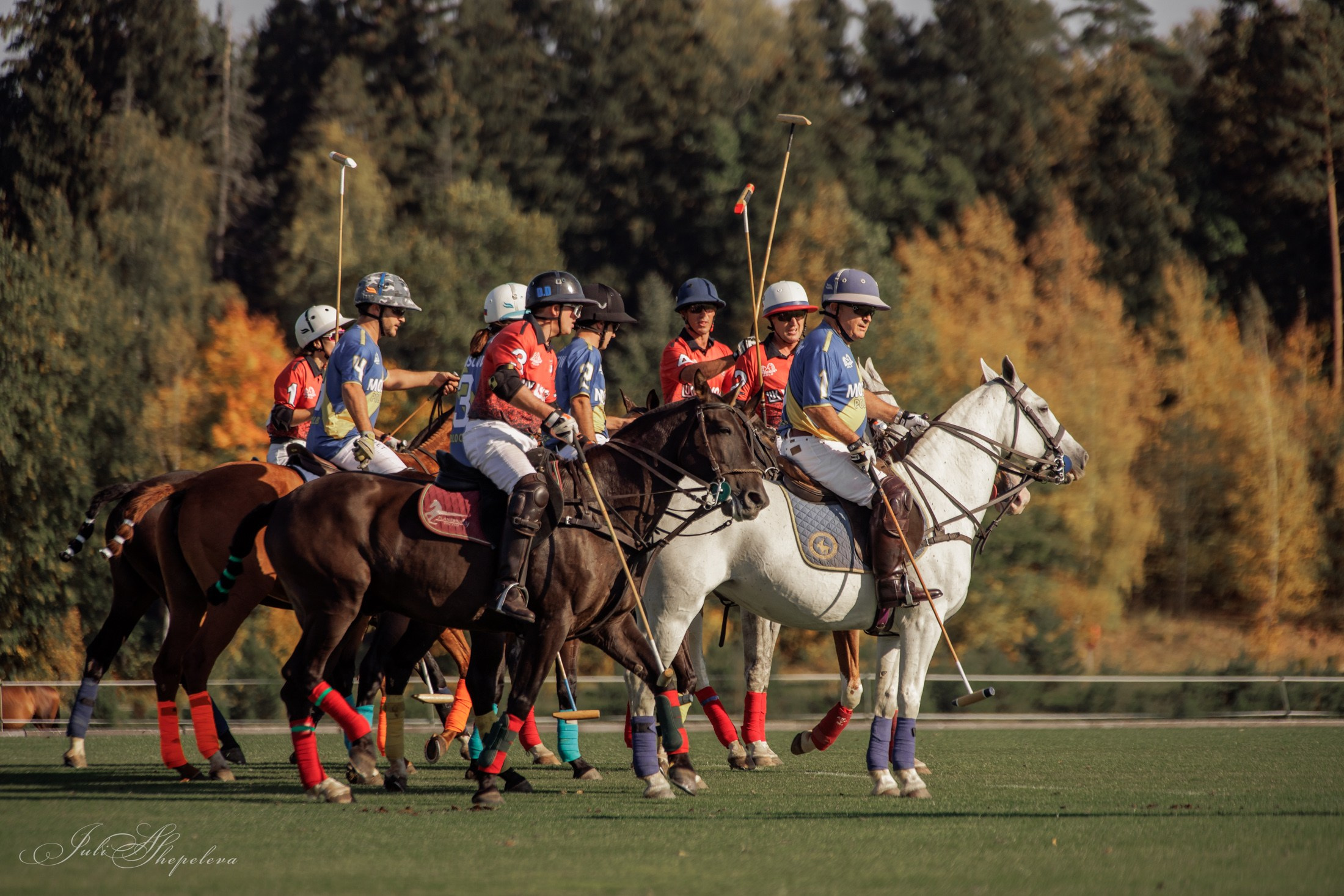 Осенний кубок по конному поло. Детская Конная фотография в Москве Юлия Шепелева