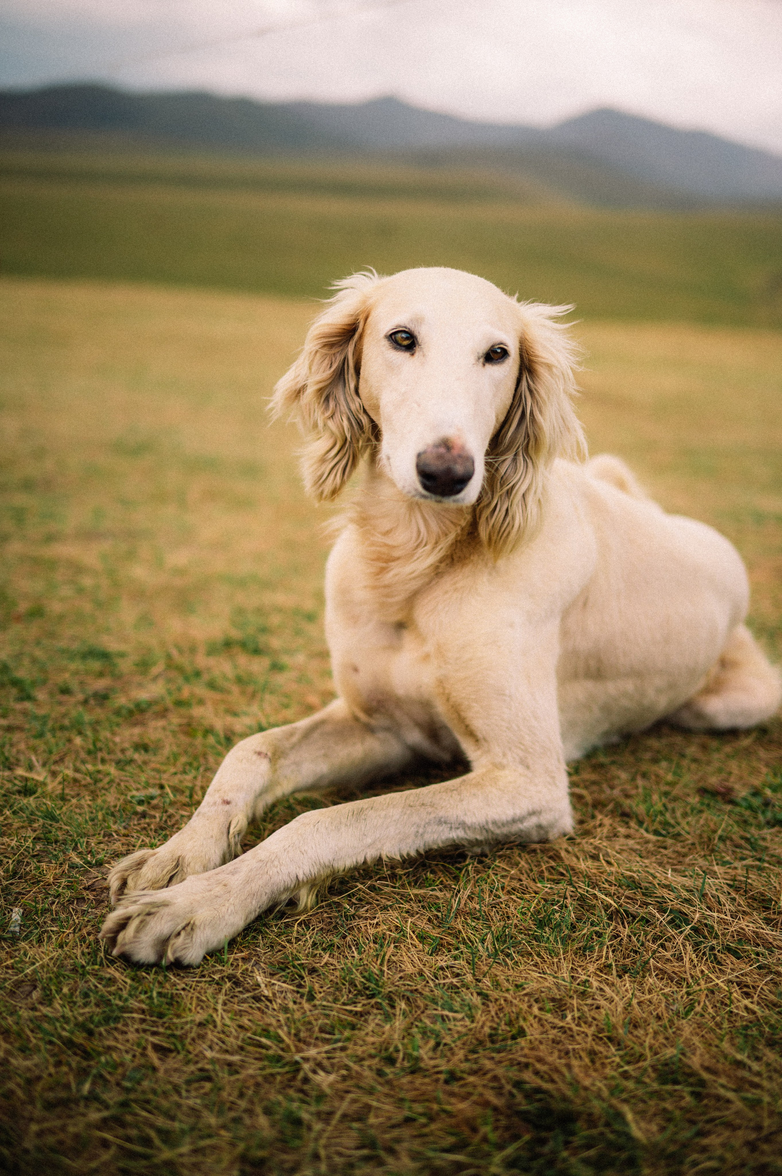 Плато Ассы: июль 2025. Фотограф в Алматы — Дарья Фёдорова