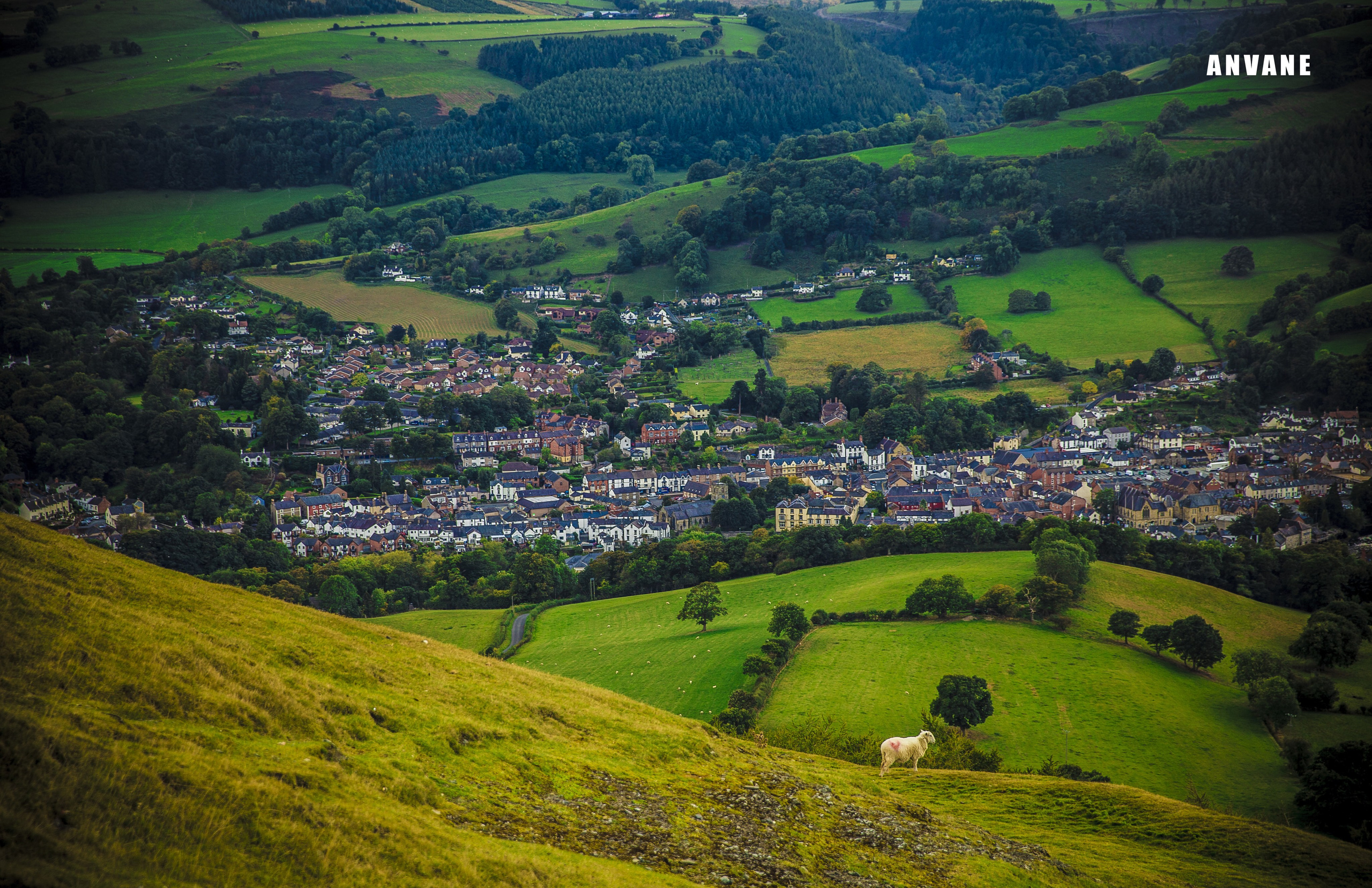 ANVANE. Фотограф Александра Степанова