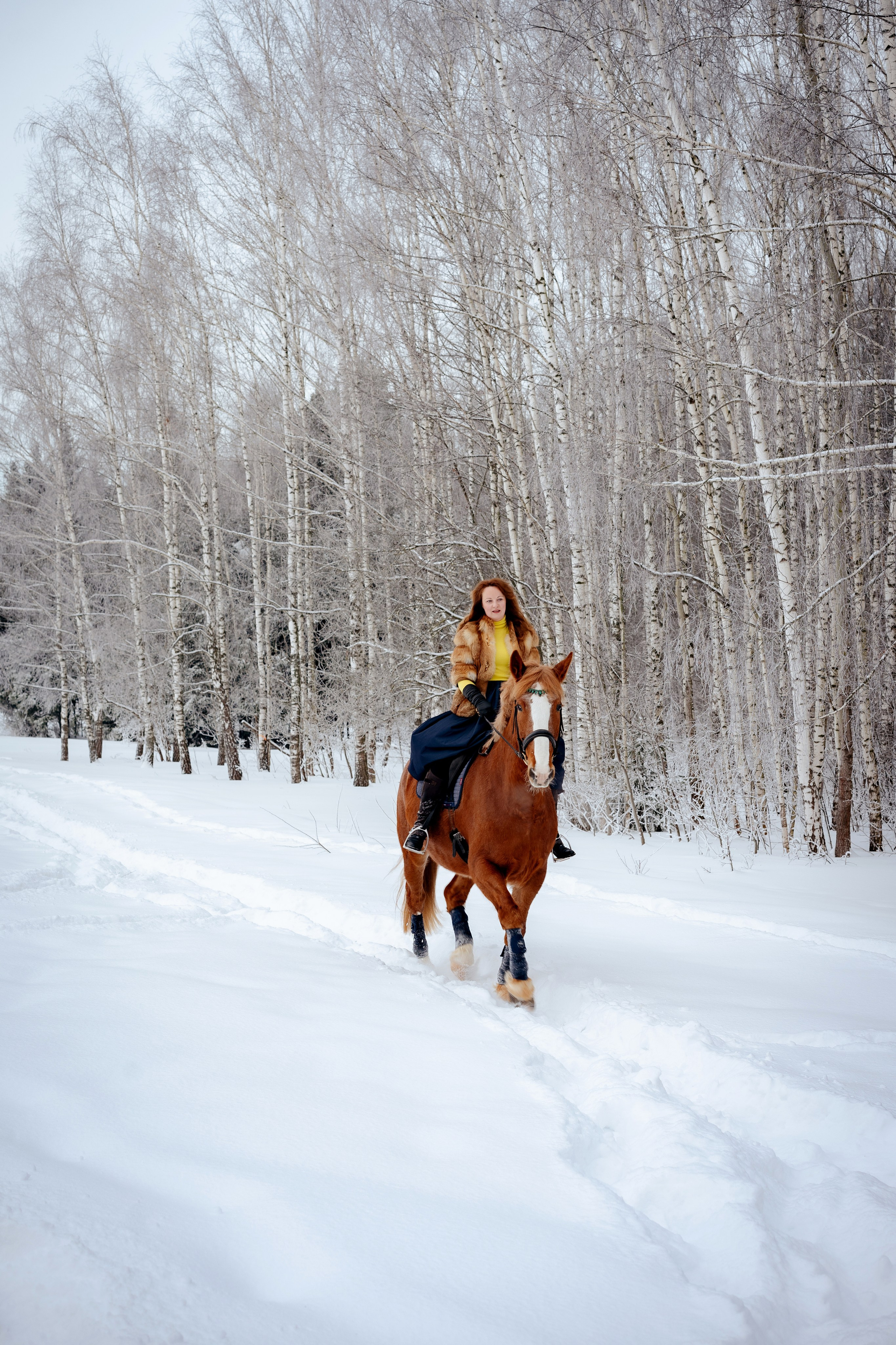 Ольга и Любимчик. Портретный и семейный фотограф в Москве/Видное