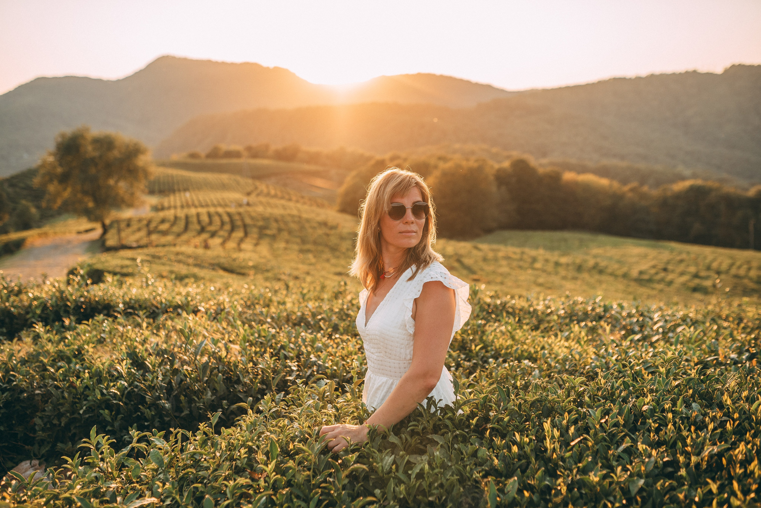 Чайные плантации 🌿✨. Фотограф в Сочи — Маргарита Поганова