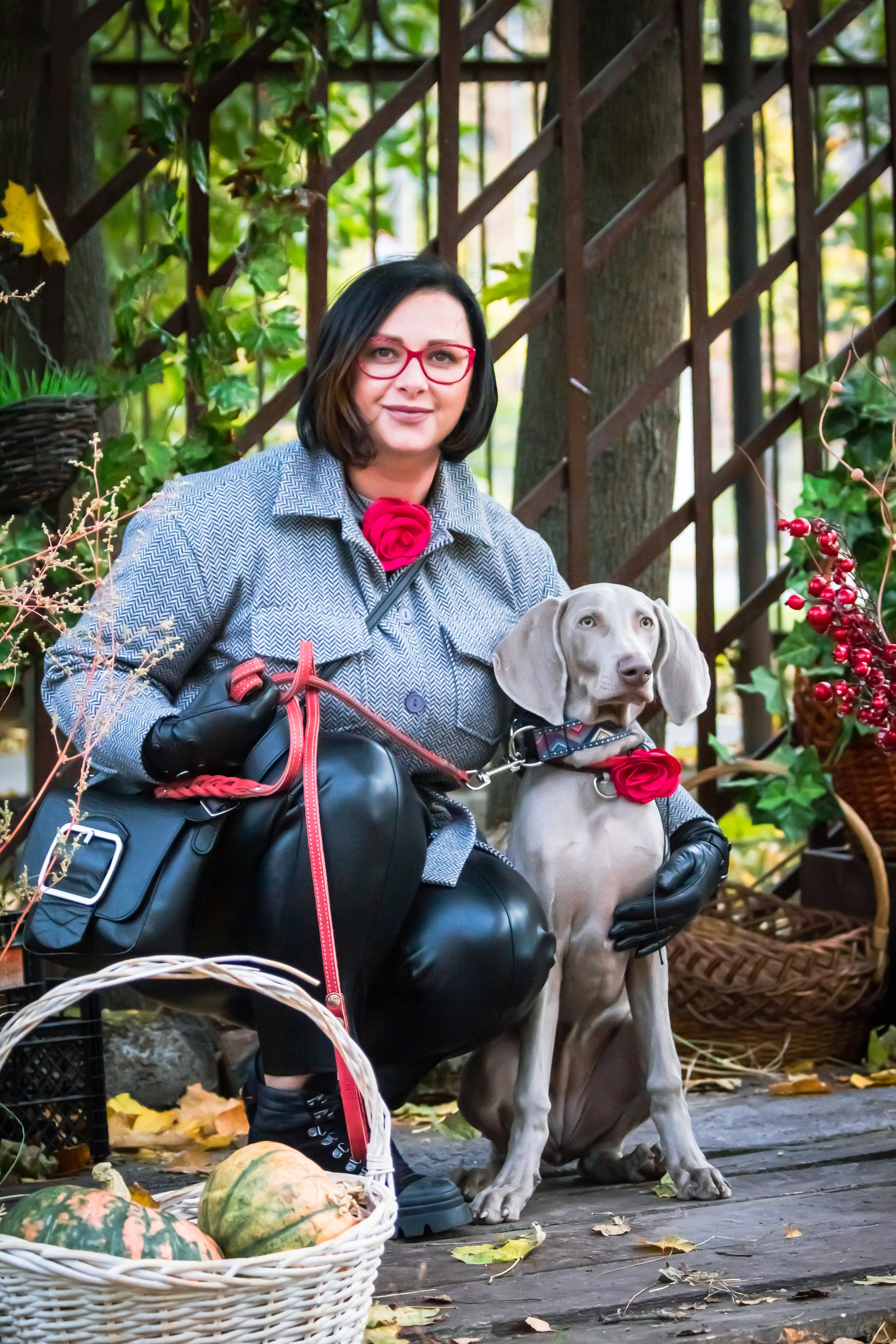 Костюмированный парад собак. Фотограф анималист — Тула, Москва