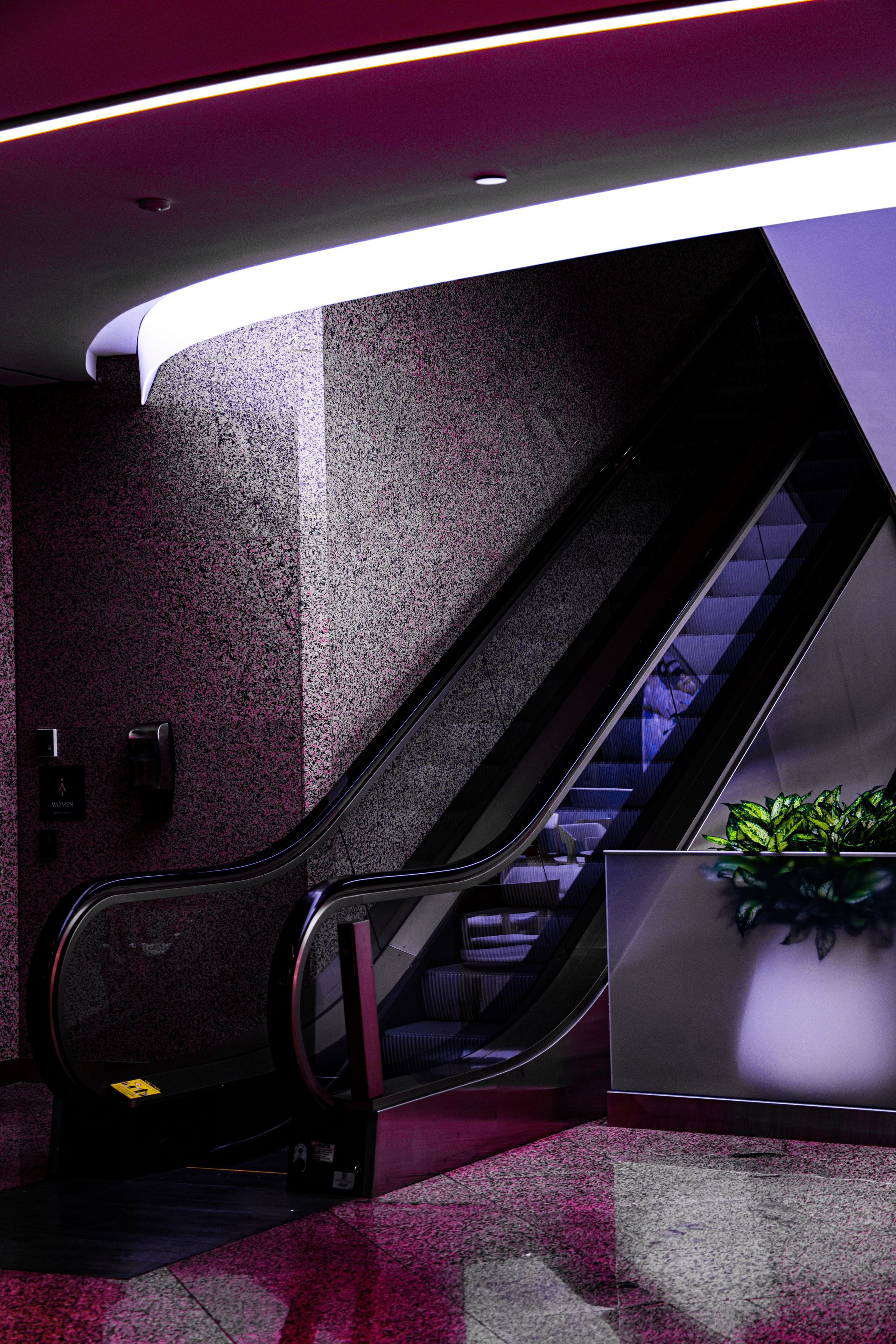 Nuit Blanche 2025. Portrait photographer based in Toronto — Blinova Mariia